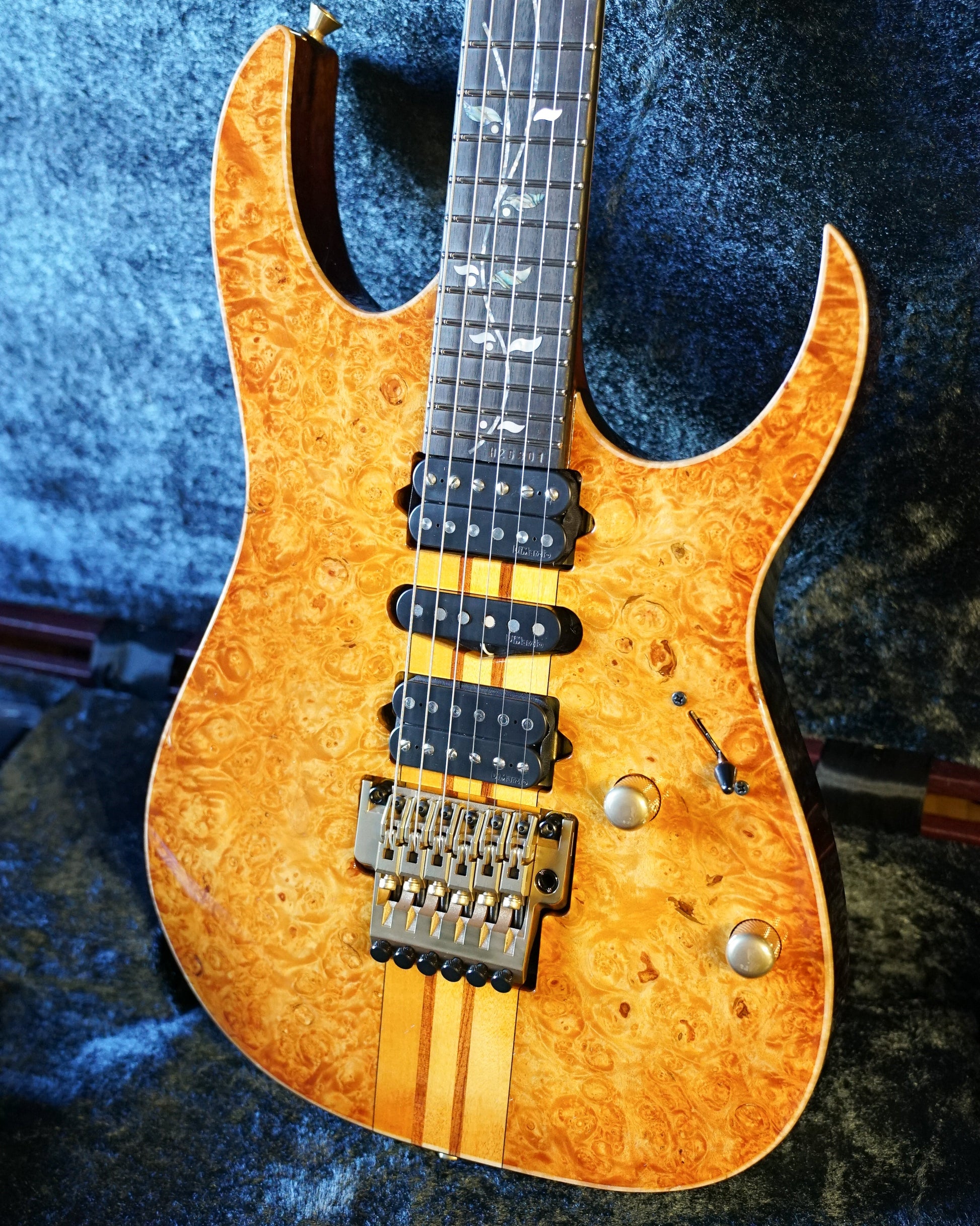 Ibanez IV1RG Visions