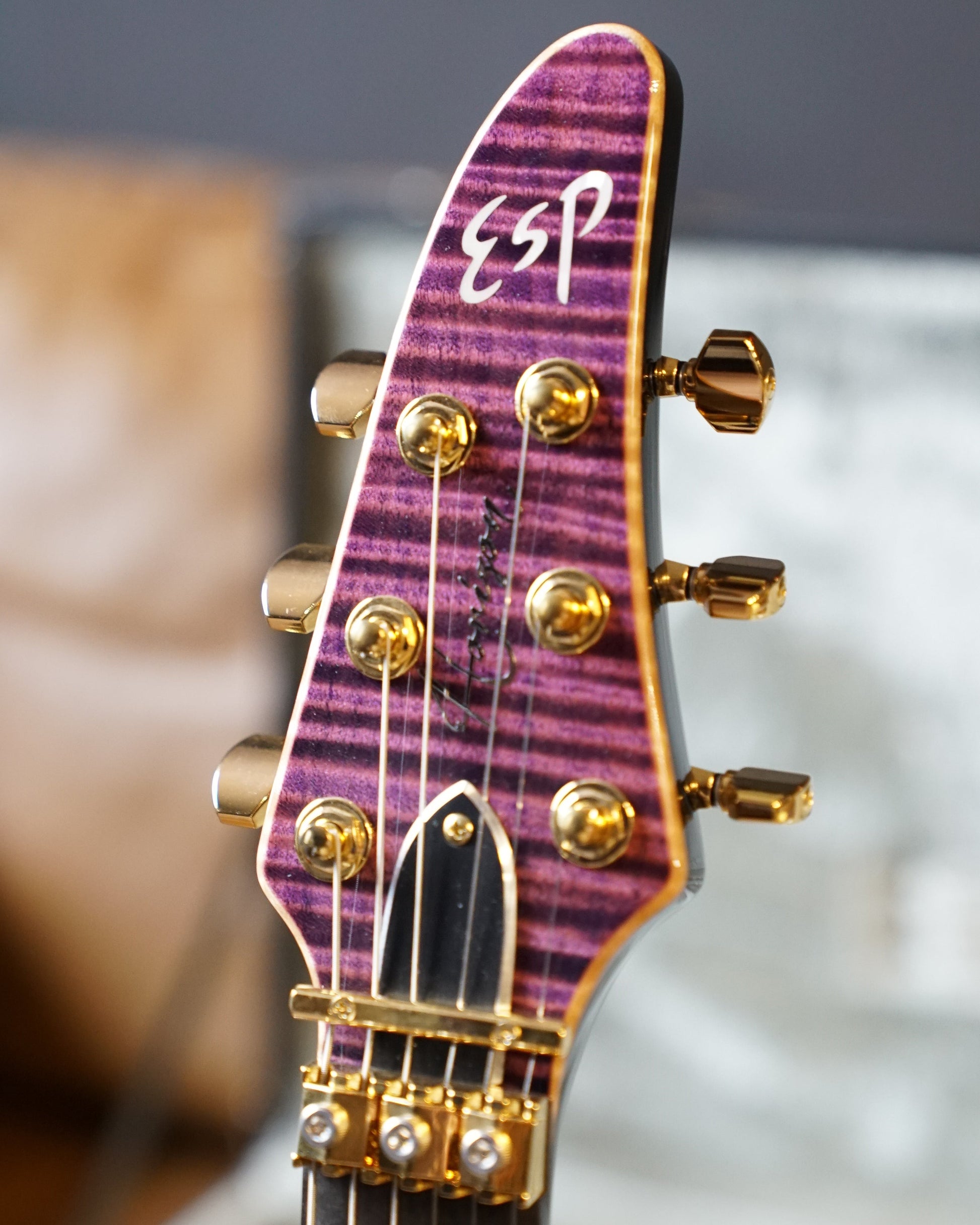 ESP Custom Shop HORIZON-CTM FR/FM, Pink Brown Gradation