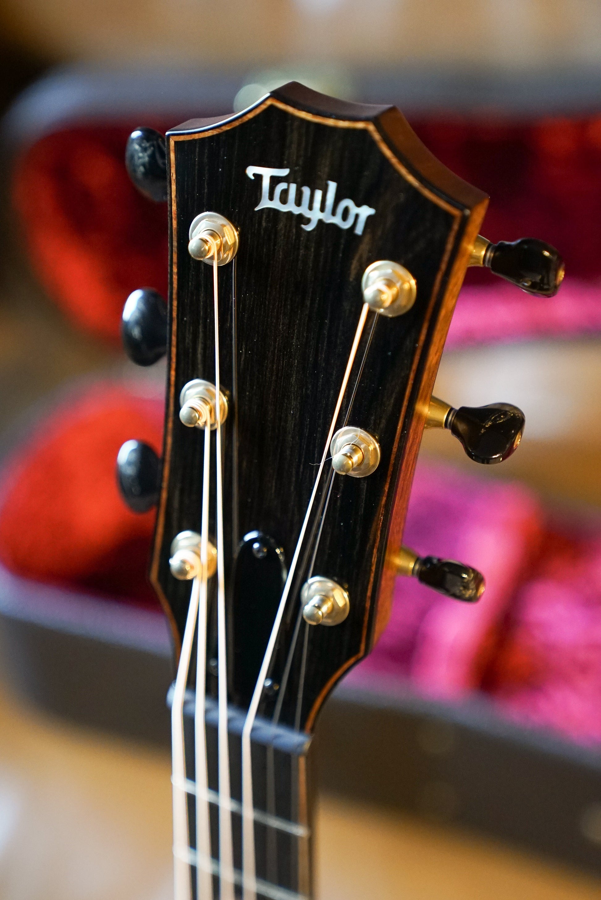 Taylor Custom Shop C14CE B6028 Custom GA, Catch Custom #28