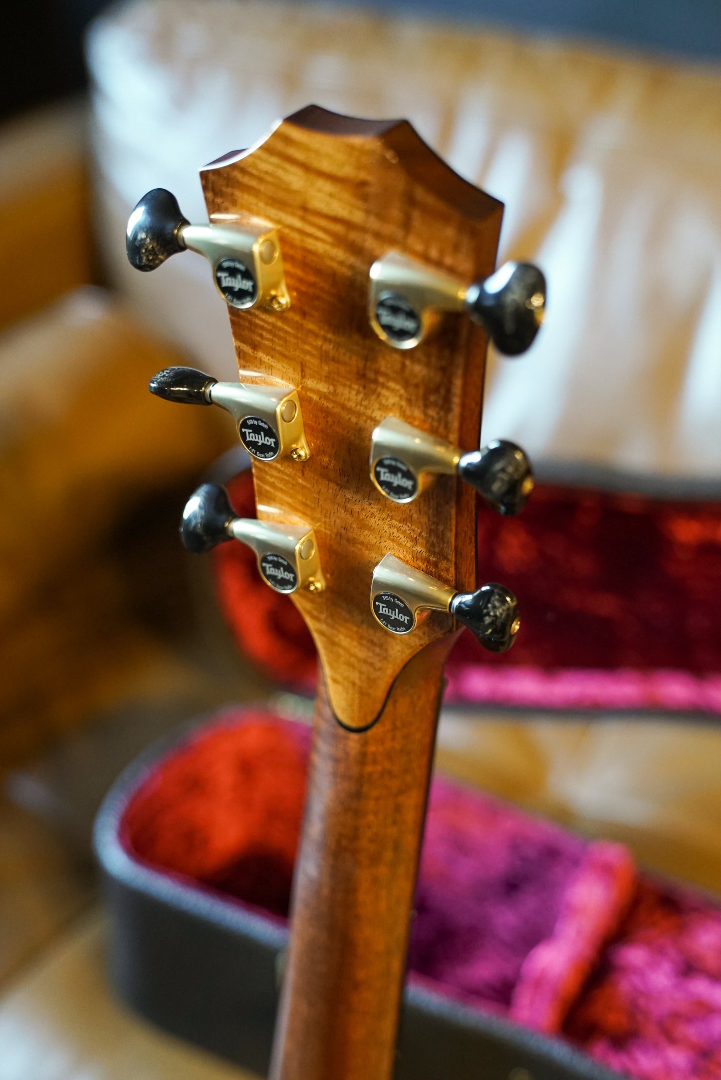 Taylor Custom Shop C14CE B6028 Custom GA, Catch Custom #28