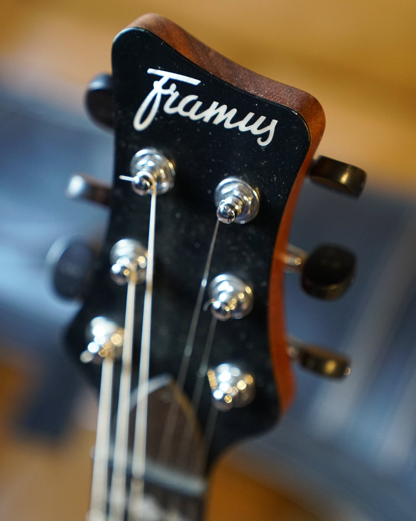 Pre-Owned Framus Custom Shop Masterbuilt Panthera II