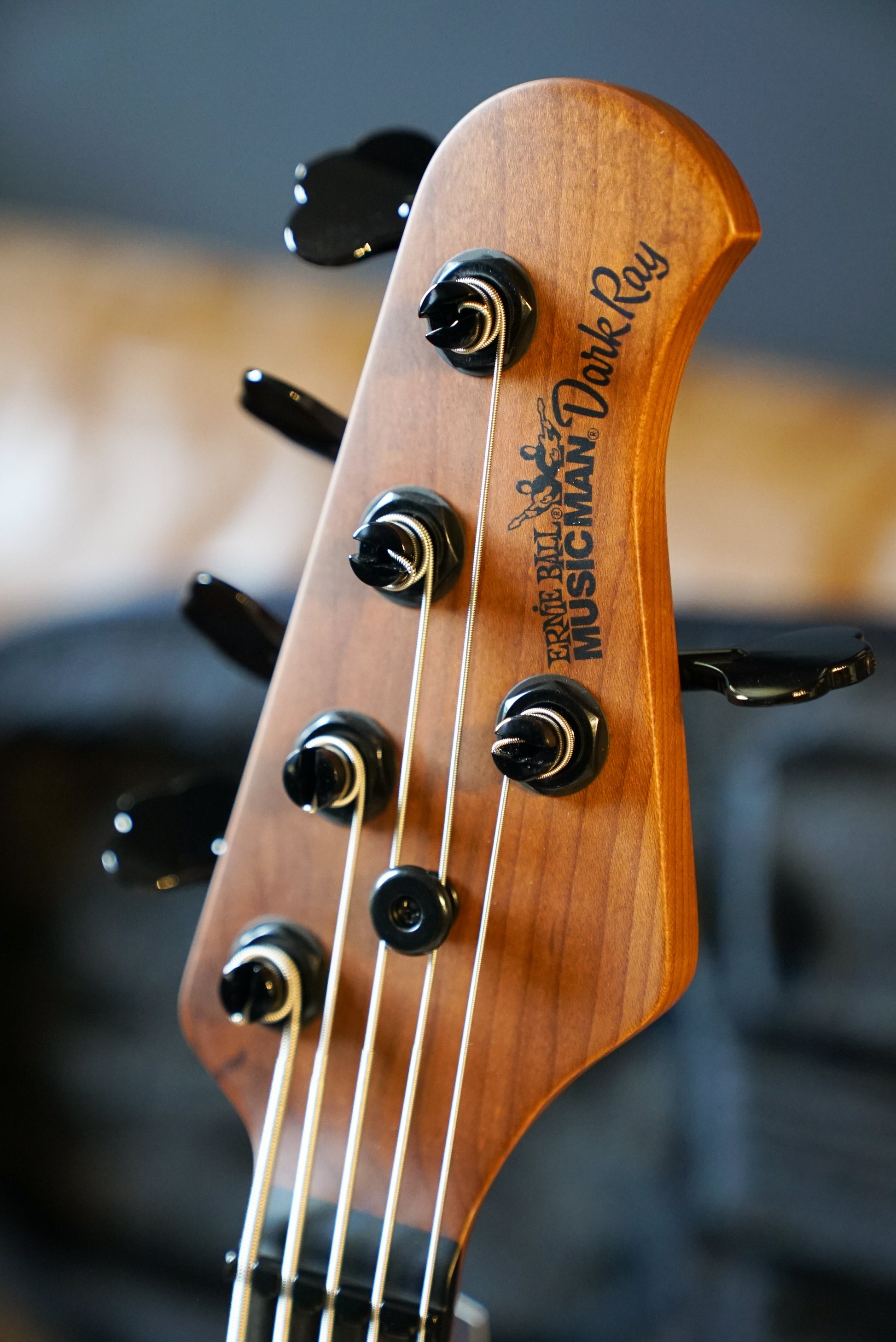 Music Man DarkRay 5 - Dark Rainbow - Roasted Maple/Ebony - Black PG - Black Hardware