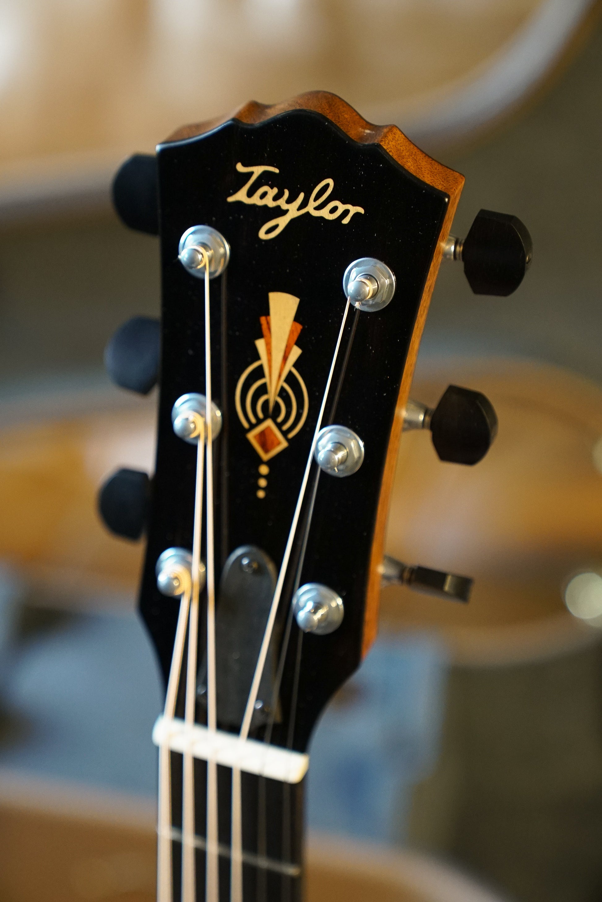 Taylor Custom C14CE B6015 Custom Gold Label SA Catch, Custom #15