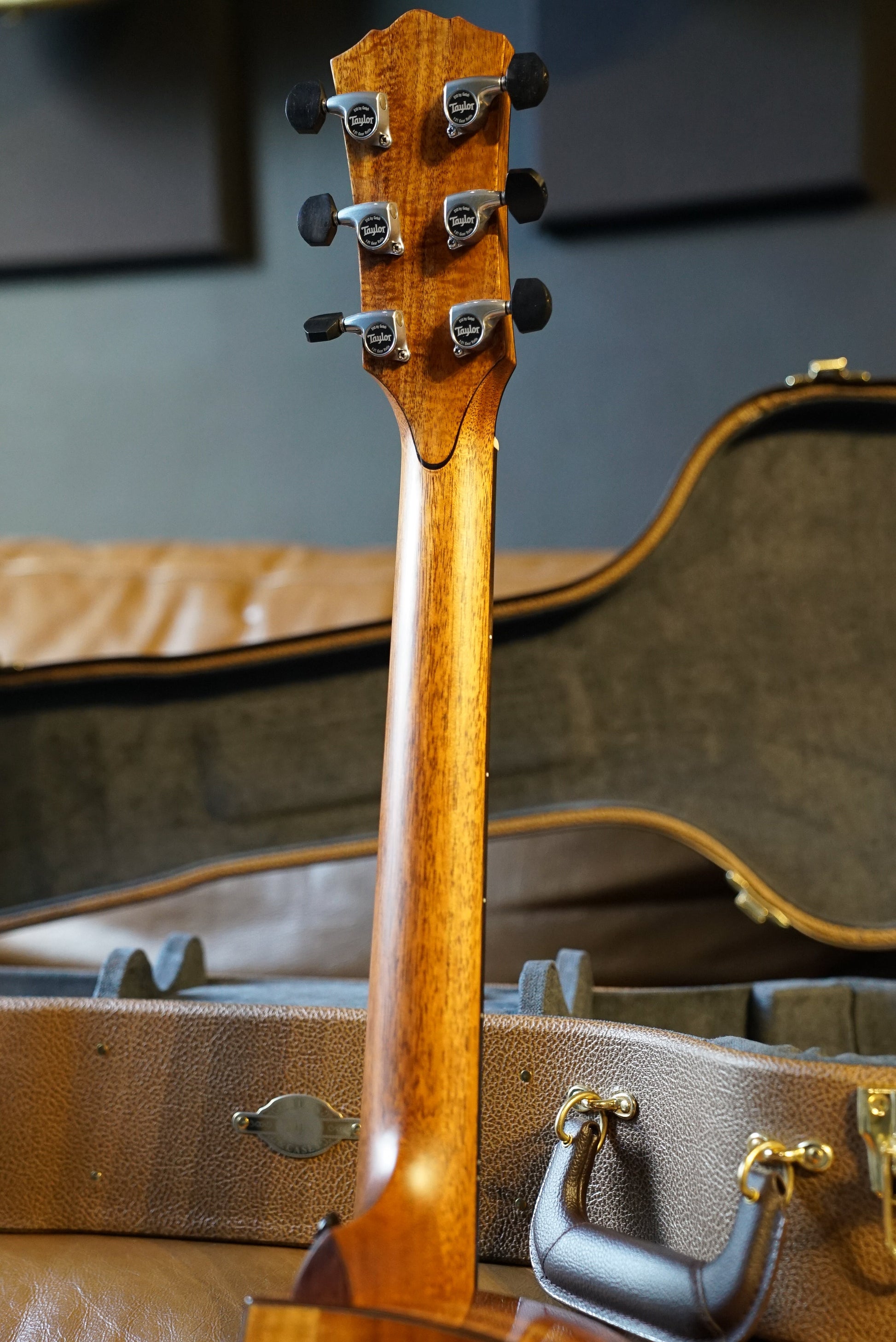 Taylor Custom C14CE B6015 Custom Gold Label SA Catch, Custom #15