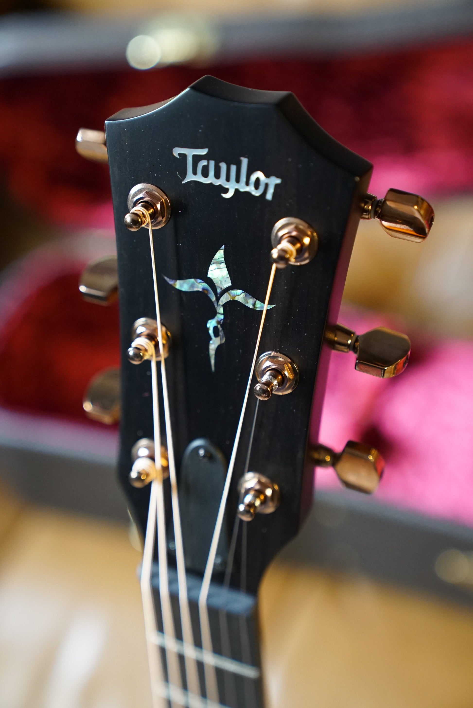 Taylor Next Generation K24ce Special Edition
