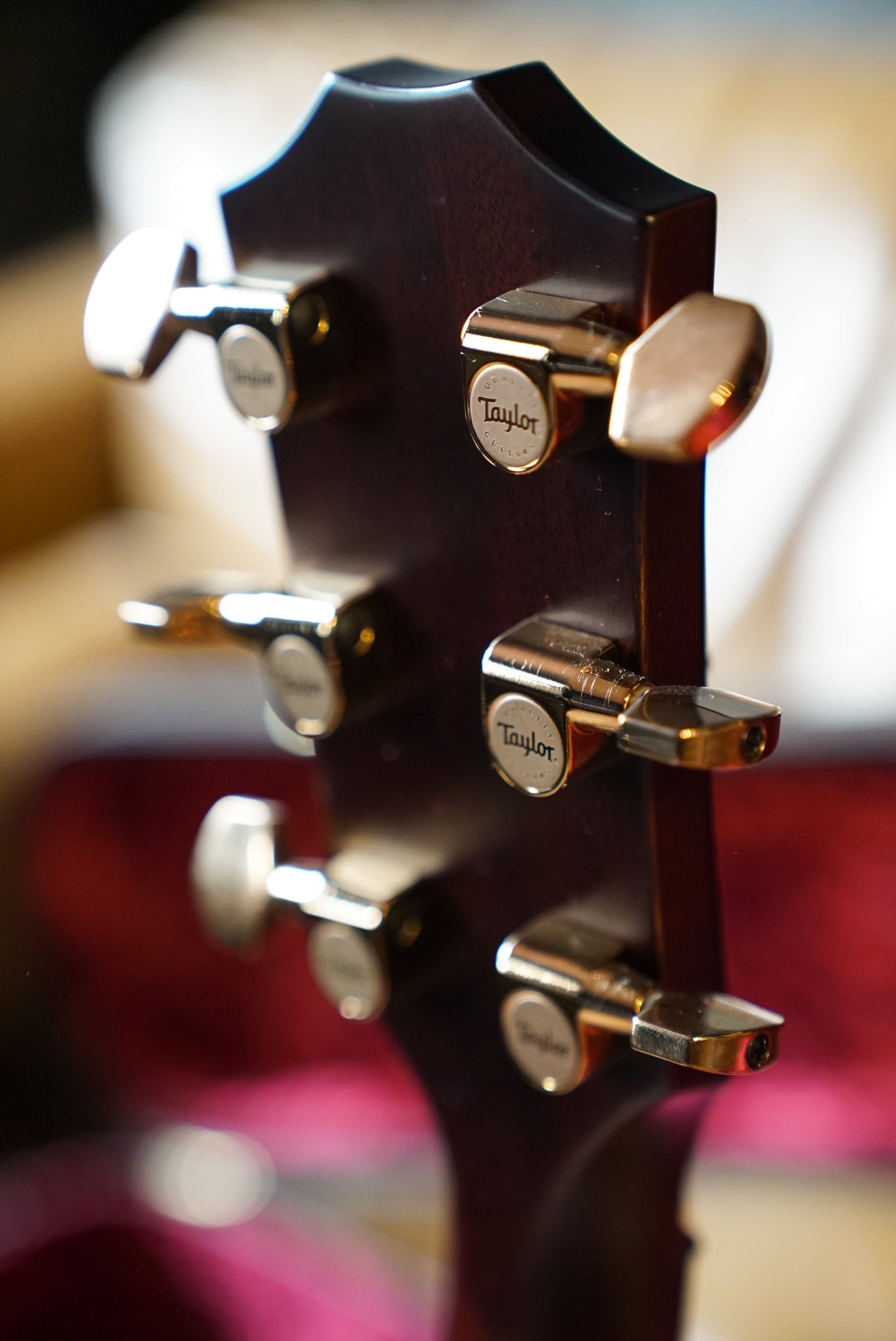 Taylor Next Generation K24ce Special Edition