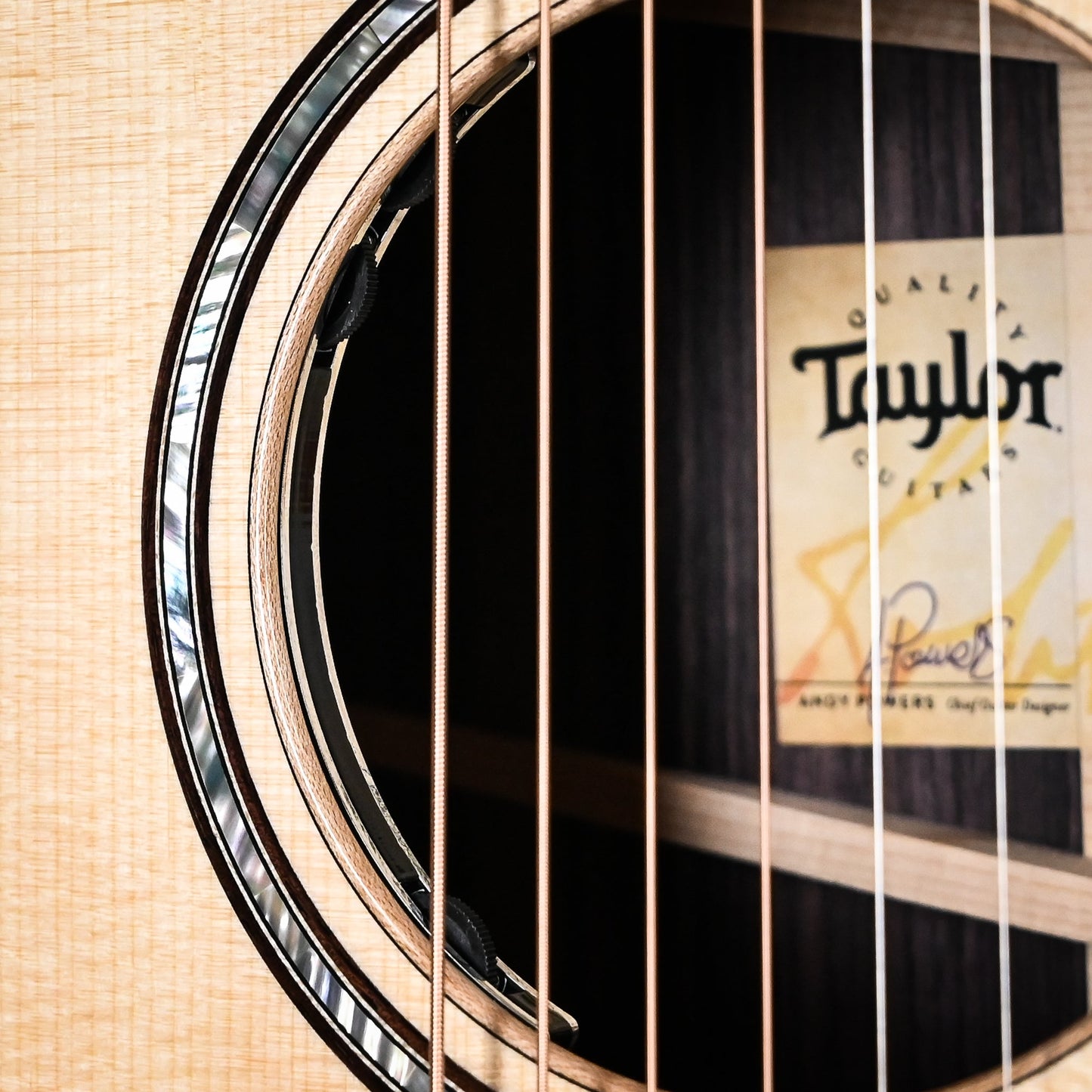 Taylor Next Generation 814ce w/ Sitka Spruce Top & Indian Rosewood Back and Sides Acoustic-Electric Guitar 2025 (1212185047)