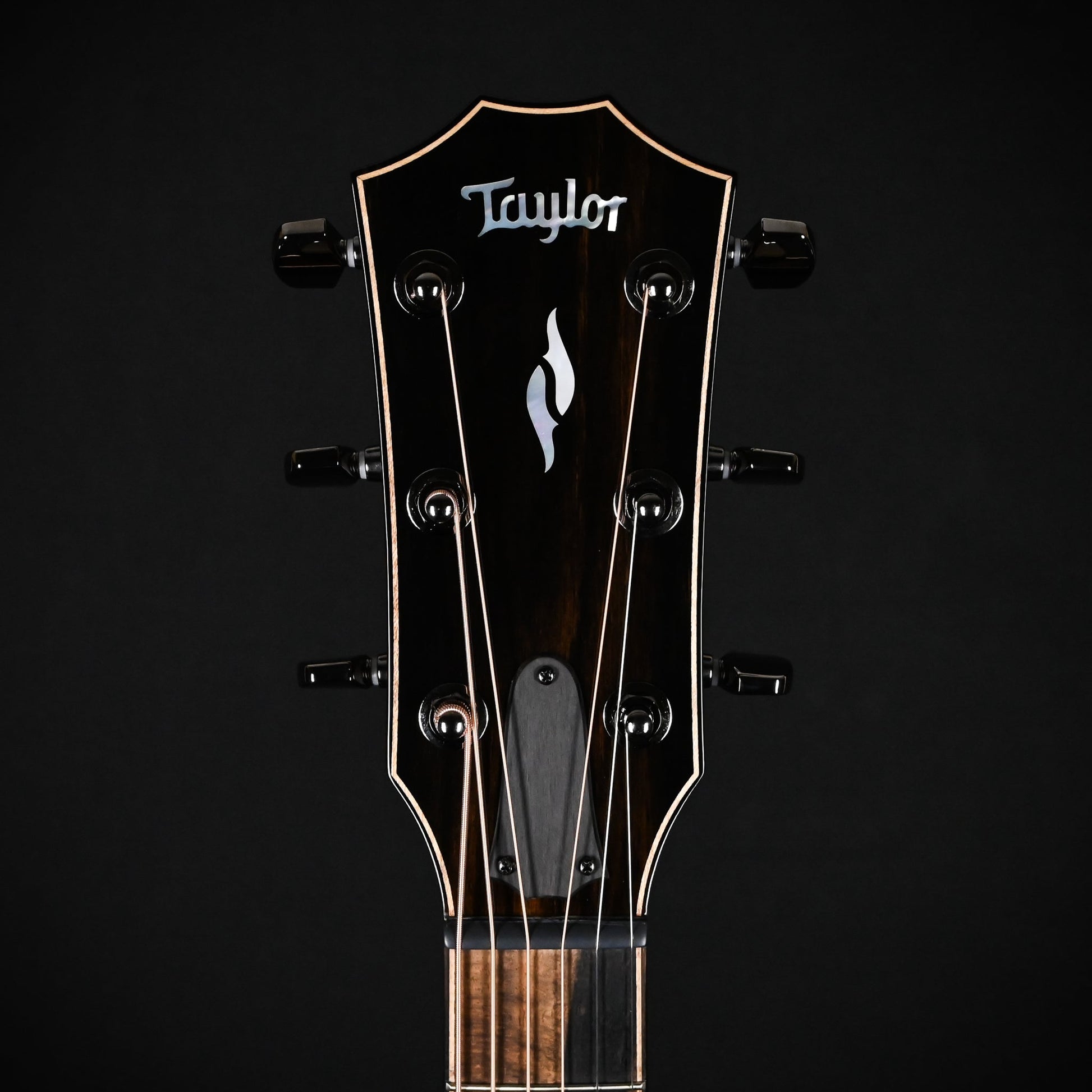 Taylor Next Generation 814ce w/ Sitka Spruce Top & Indian Rosewood Back and Sides Acoustic-Electric Guitar 2025 (1212185047)