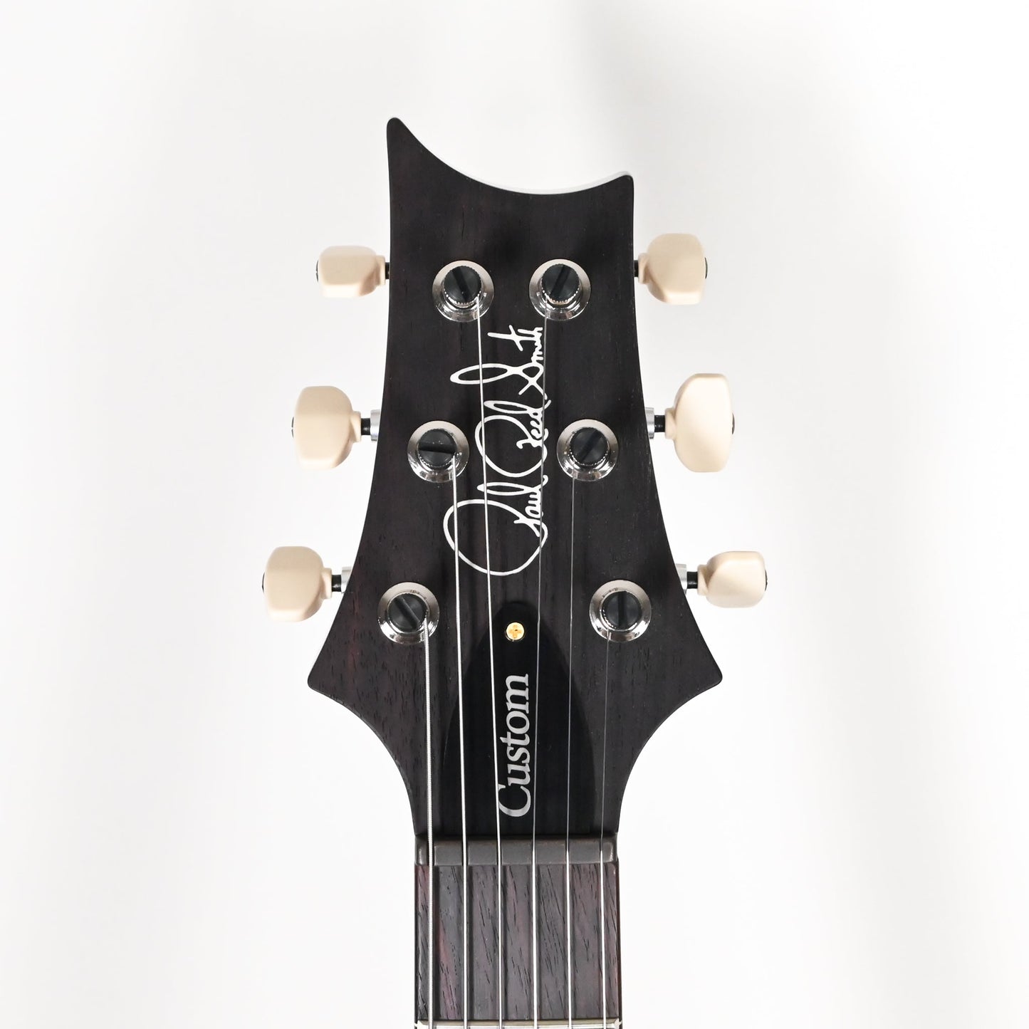 PRS Custom 24 w/ 10-Top & DMO Pickups- Custom Color 2025 (0421498)