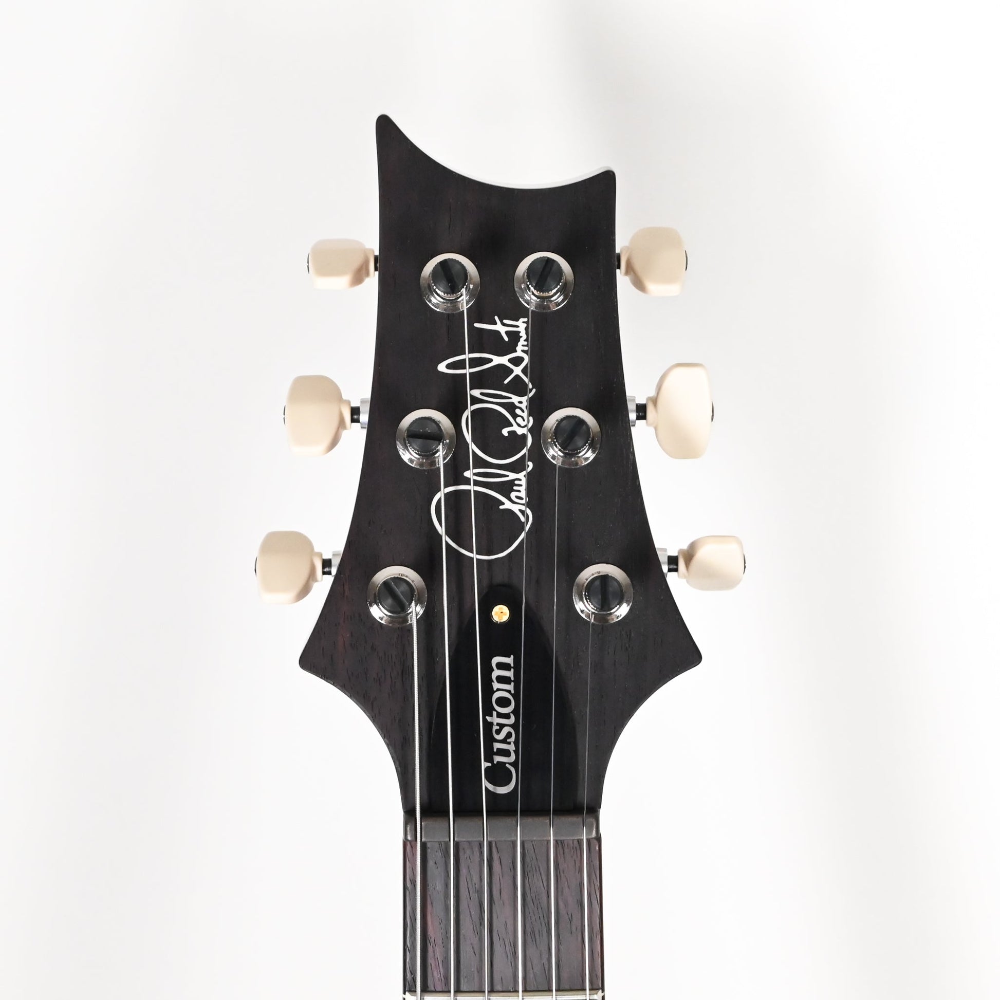 PRS Custom 24 w/ 10-Top & DMO Pickups- Custom Color 2025 (0421498)