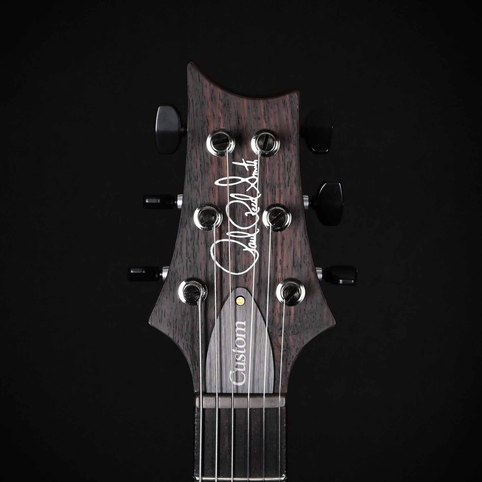 PRS Custom 24 w/ 10-Top & DMO Pickups- Custom Color 2026 (0422739)