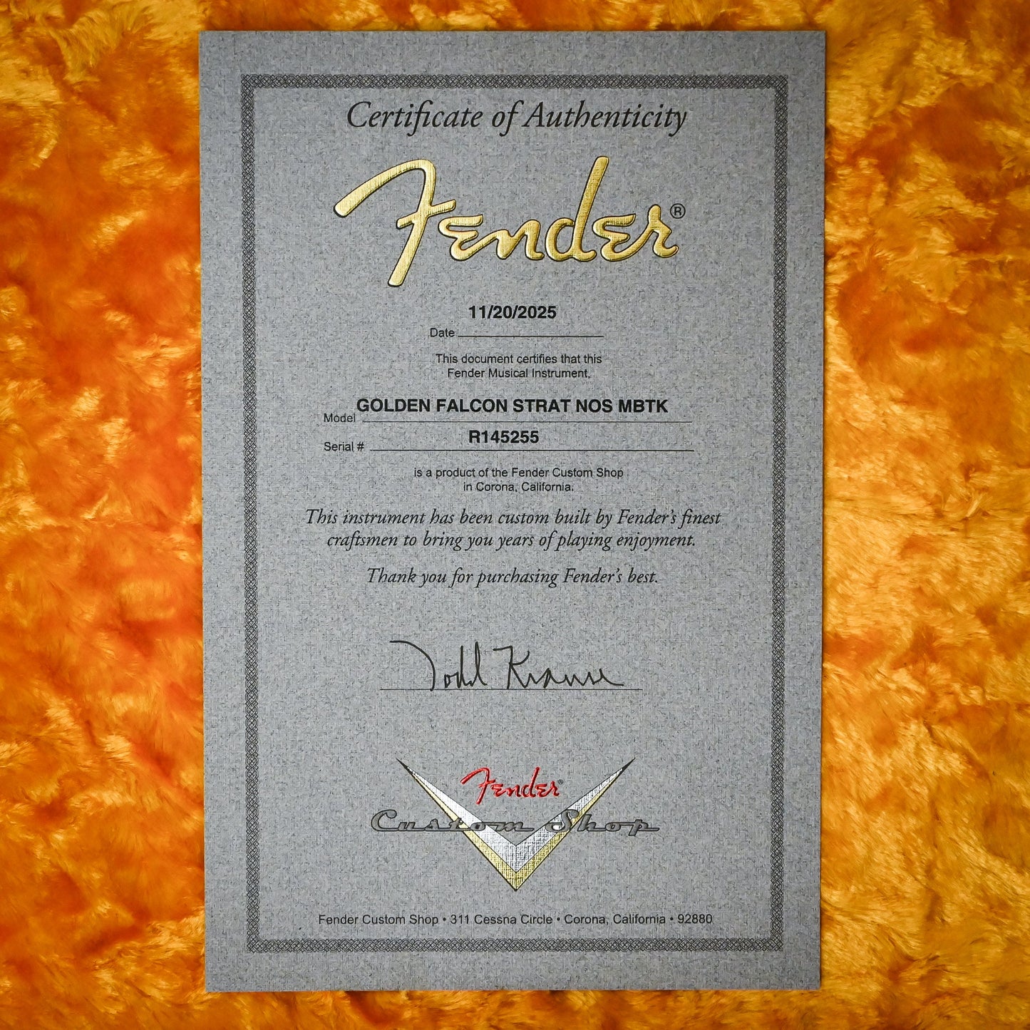 Fender Custom Shop Masterbuilt Todd Krause  Pamelina Artwork Golden Falcon Stratocaser (R145255)