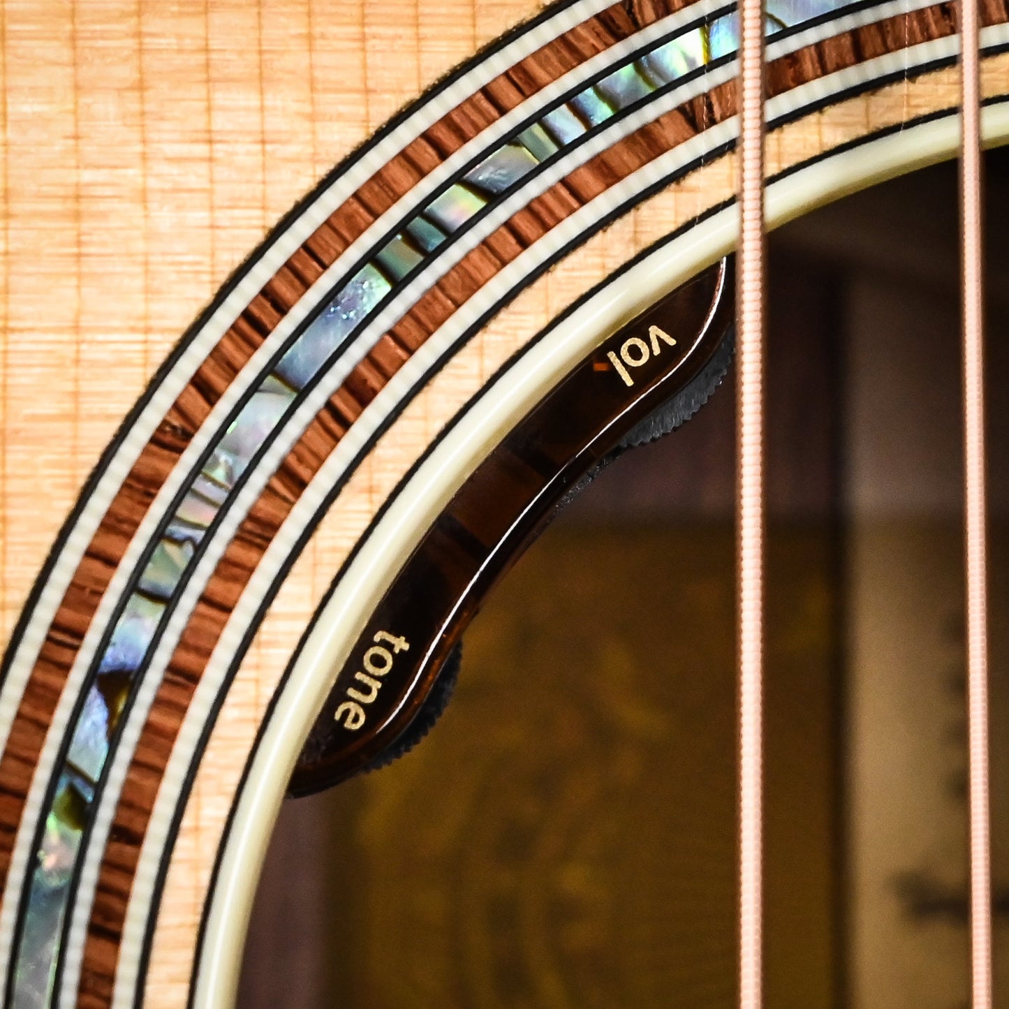 Taylor Gold Label 814e w/ Torrefied Spruce Top & Honduran Rosewood Back and Sides Acoustic-Electric Guitar 2025 (1207225007)