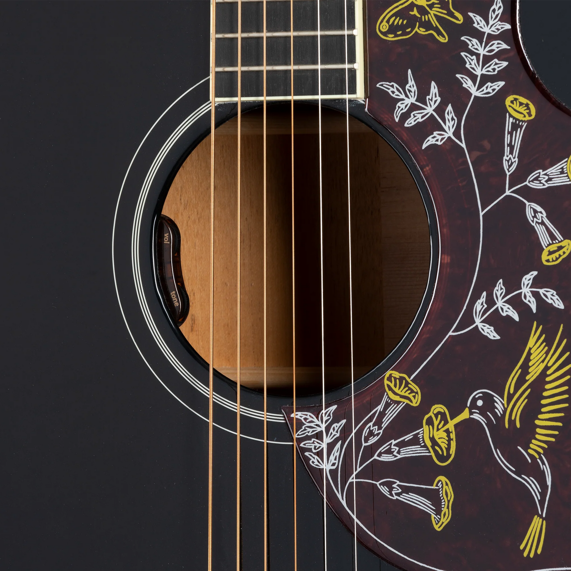 Gibson Hummingbird Standard, Ebony, Exclusive