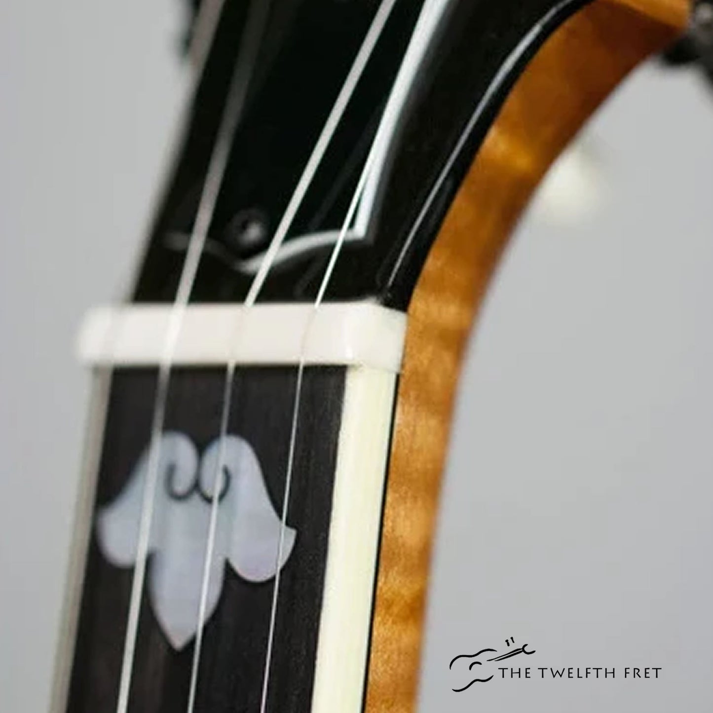 Deering Vega No.2 Banjo