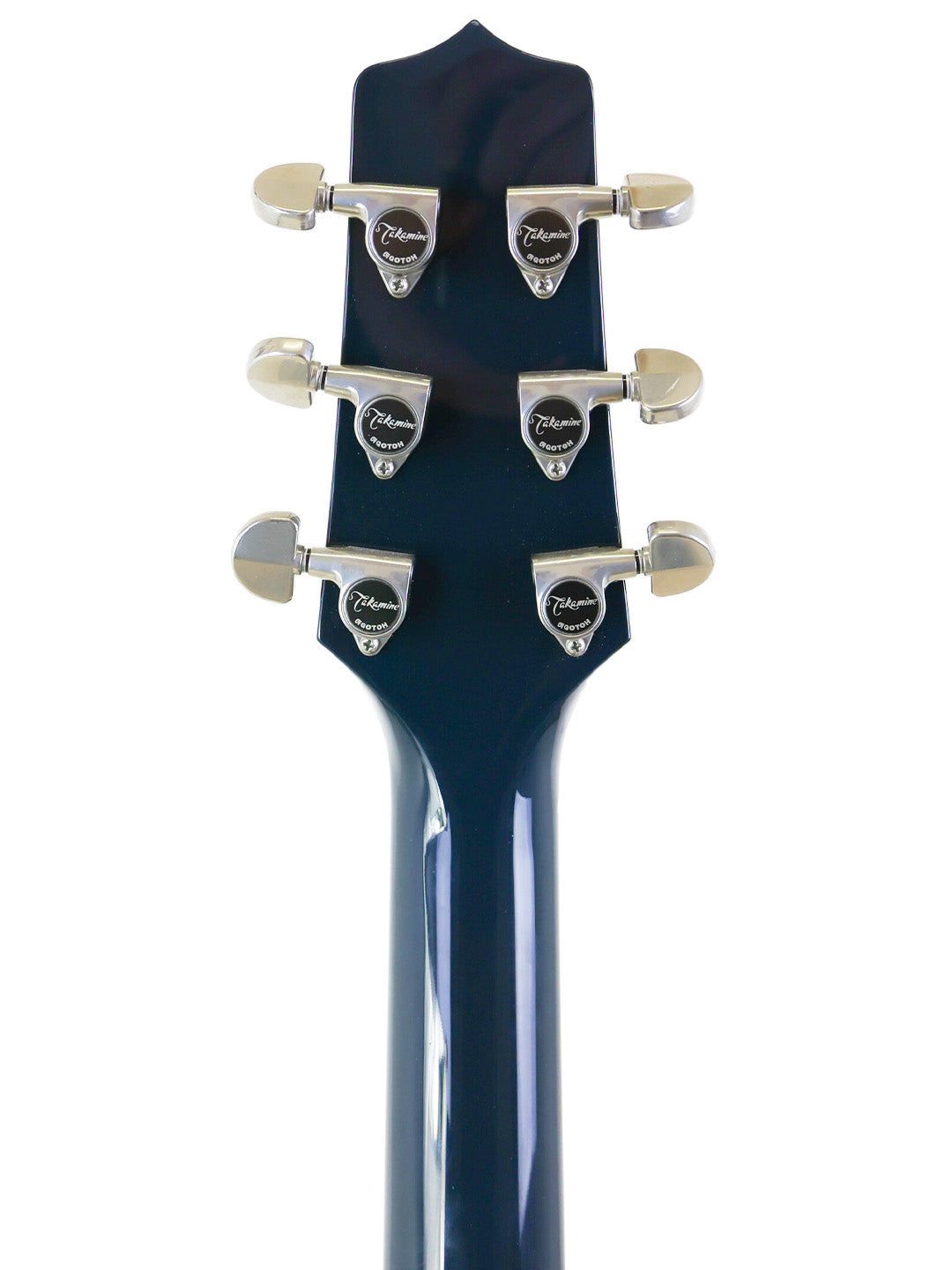 Takamine LTD2021 Limited Edition Series "Blue Rose" - Japan 2021