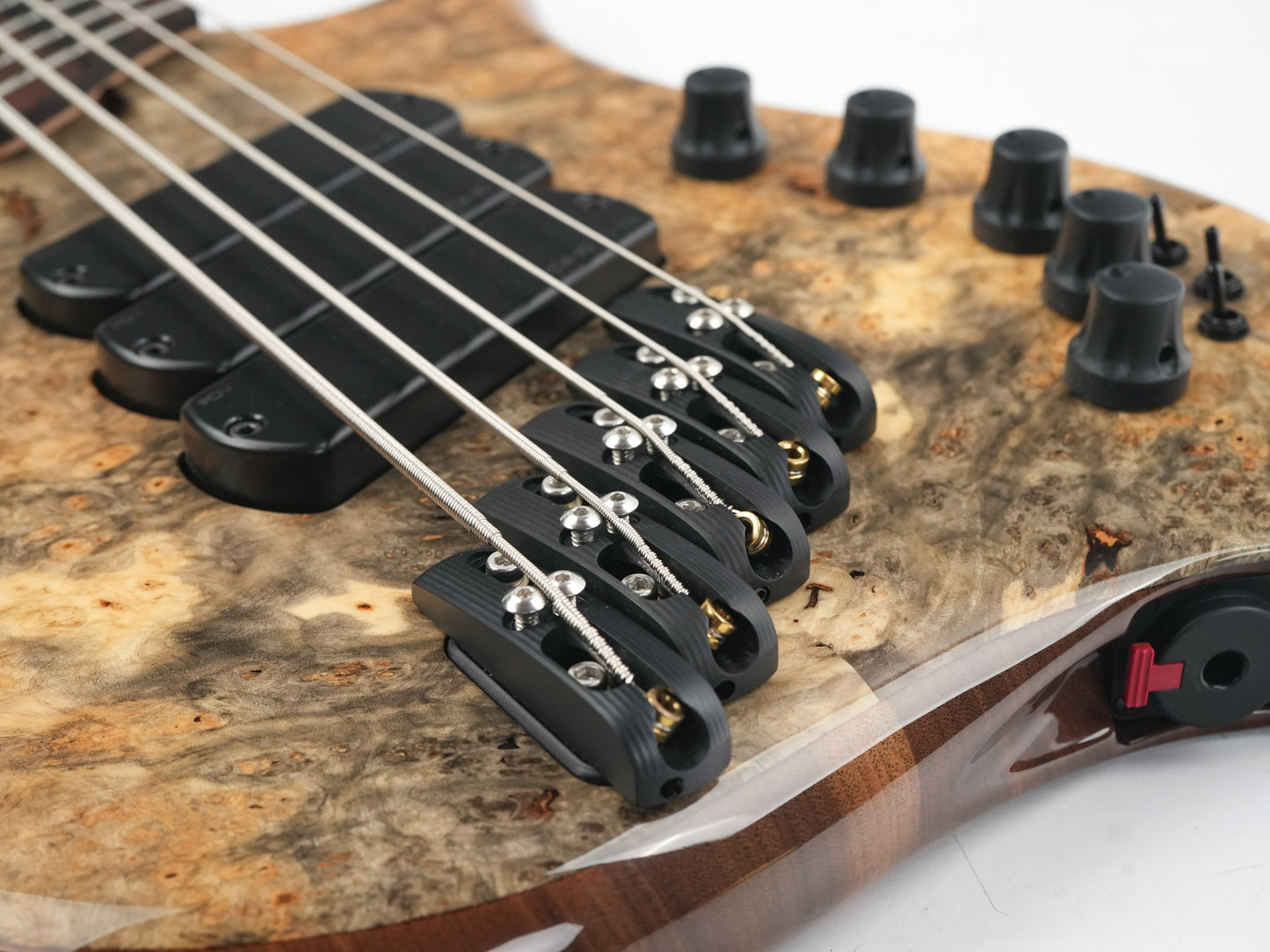 Dingwall Custom Shop Z3 5 String Buckeye Burl 2023