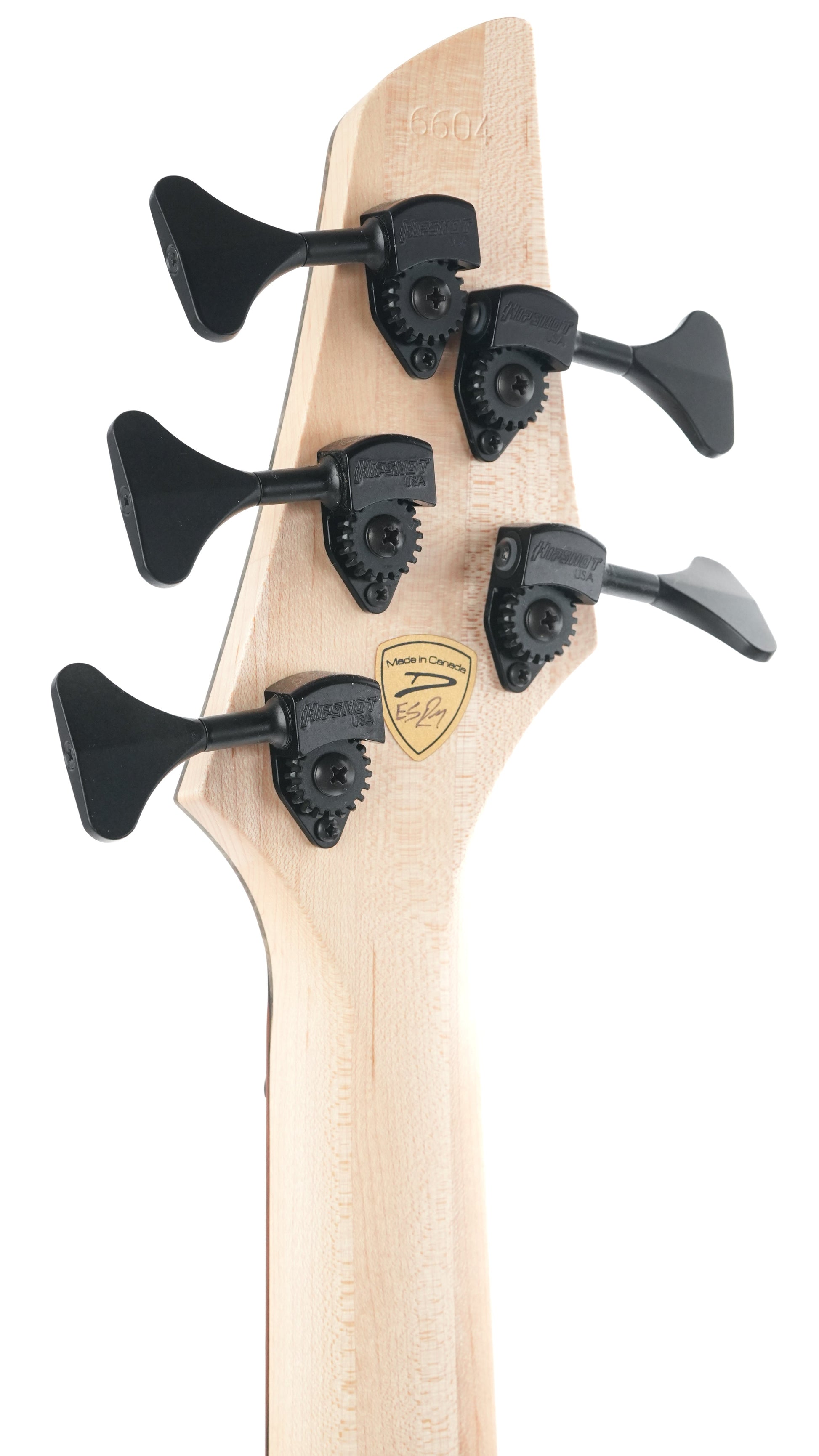 Dingwall Custom Shop Z3 5 String Buckeye Burl 2023