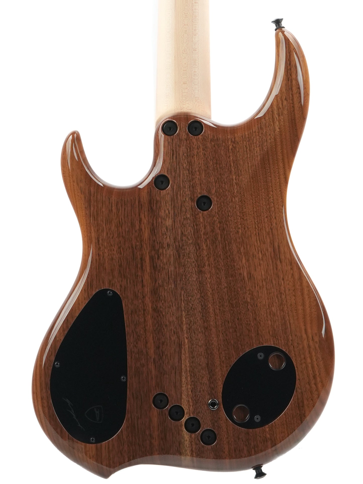 Dingwall Custom Shop Z3 5 String Buckeye Burl 2023