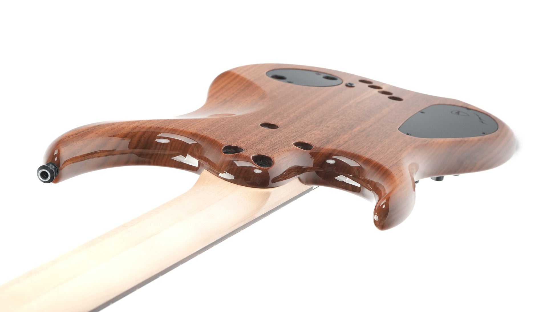 Dingwall Custom Shop Z3 5 String Buckeye Burl 2023