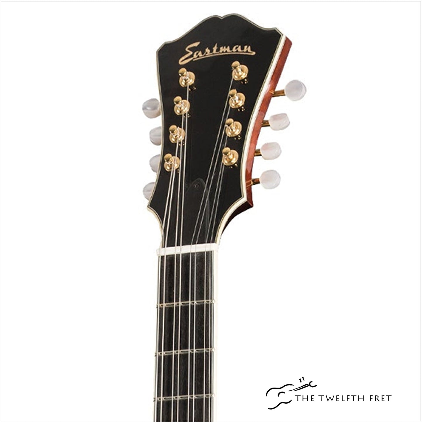 Eastman MDC805 Mandocello