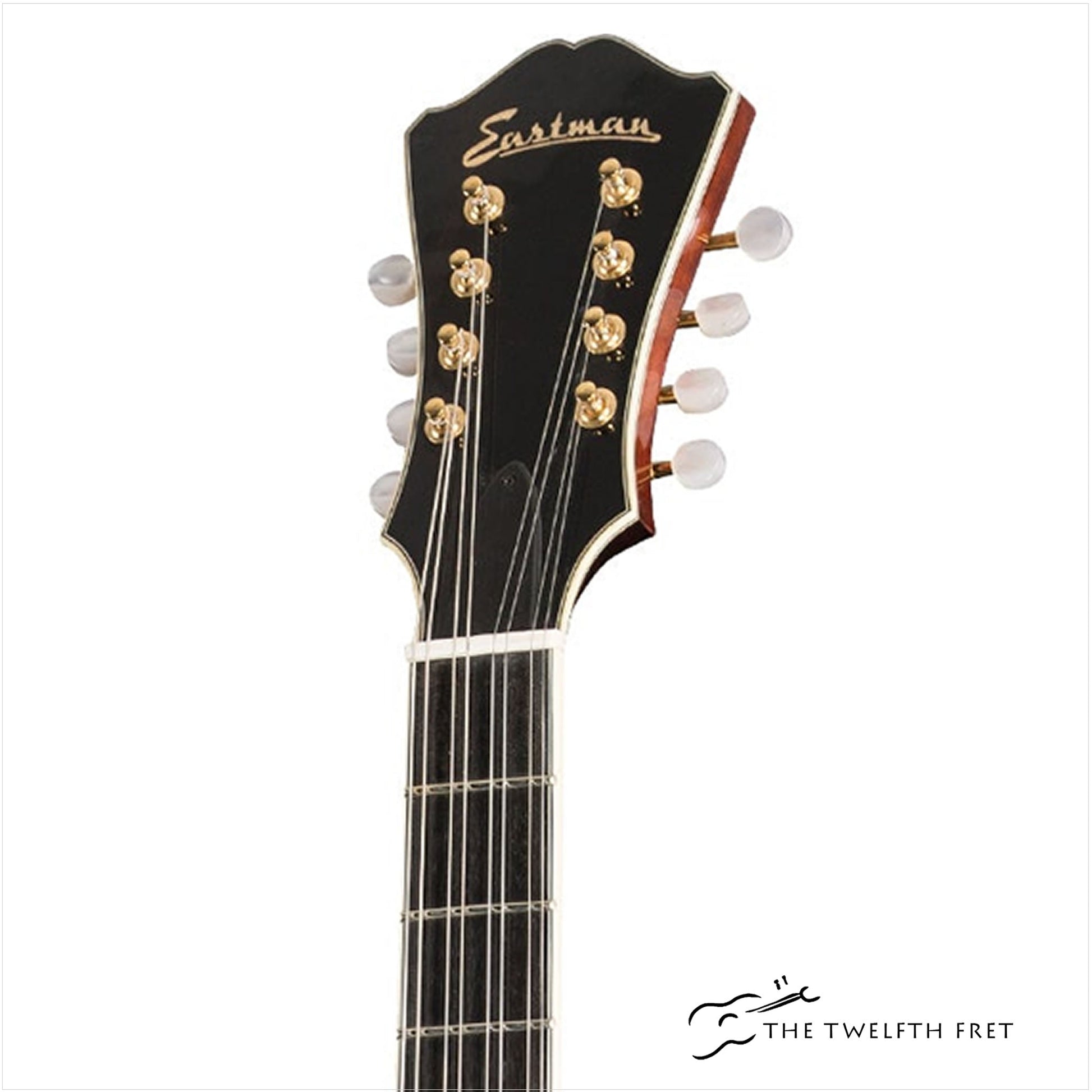 Eastman MDC805 Mandocello
