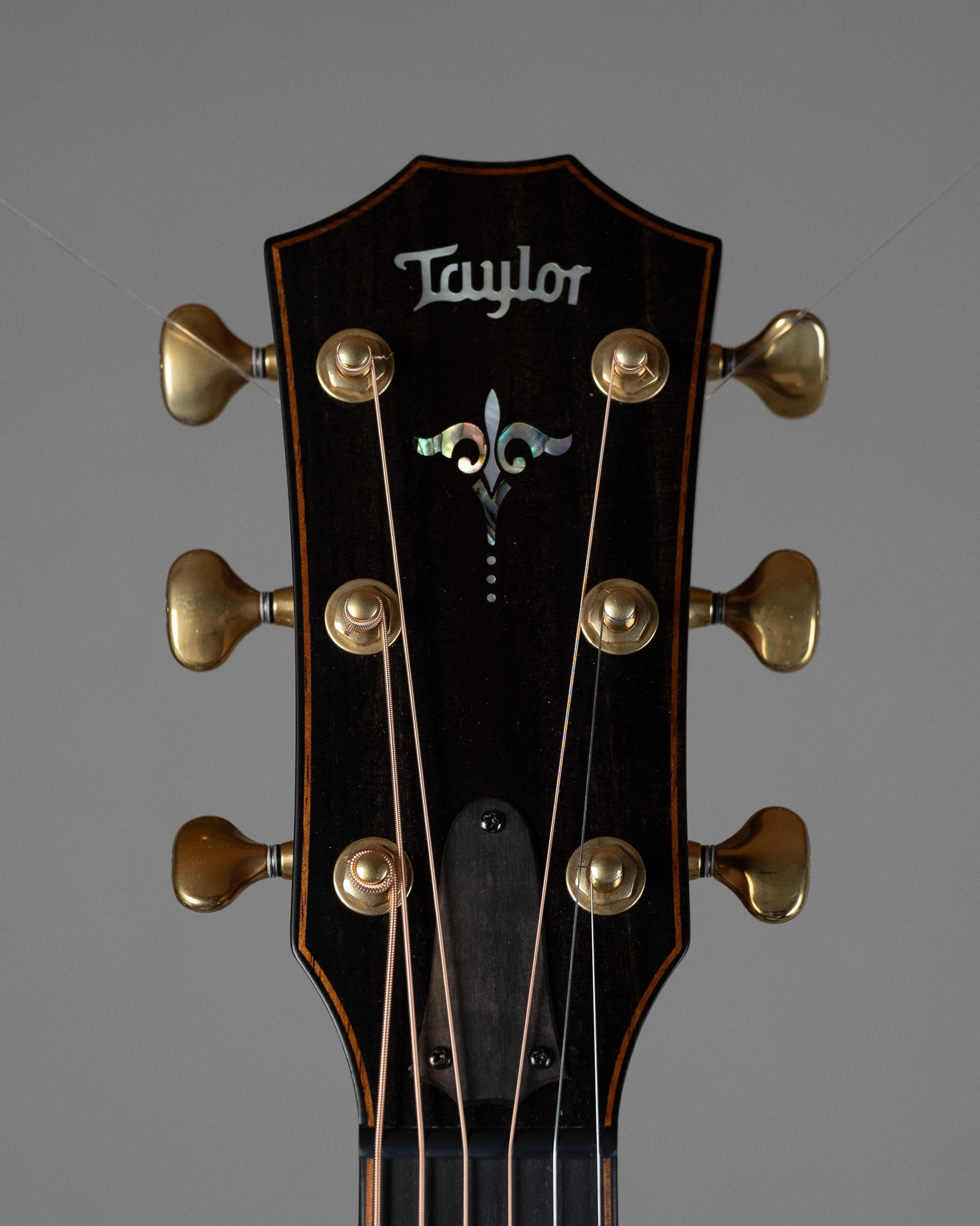 2024 Taylor 912ce Builders Edition (USA, Natural, OHSC)