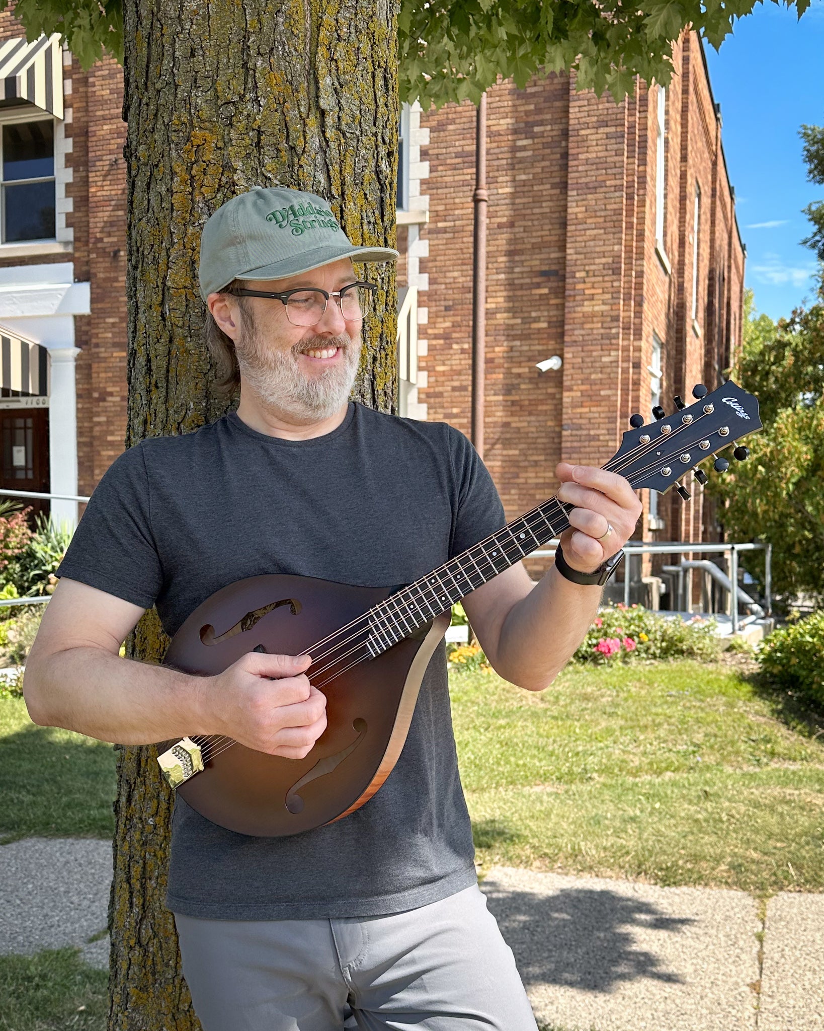 Collings MT Mandola (c.2020)