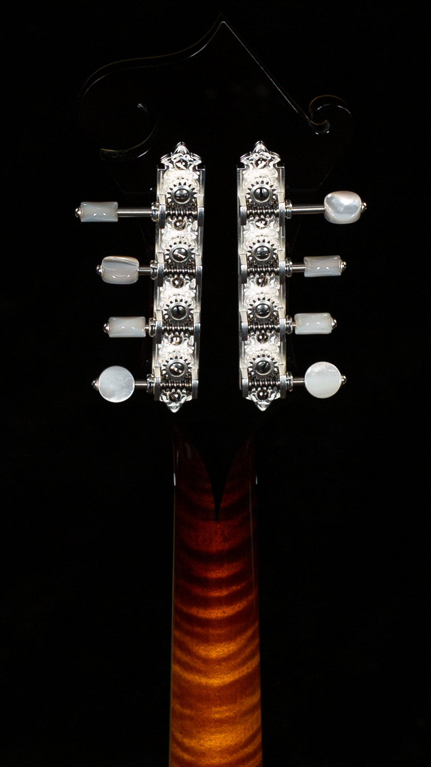 Collings MF5 Deluxe Varnish Mandolin (341)