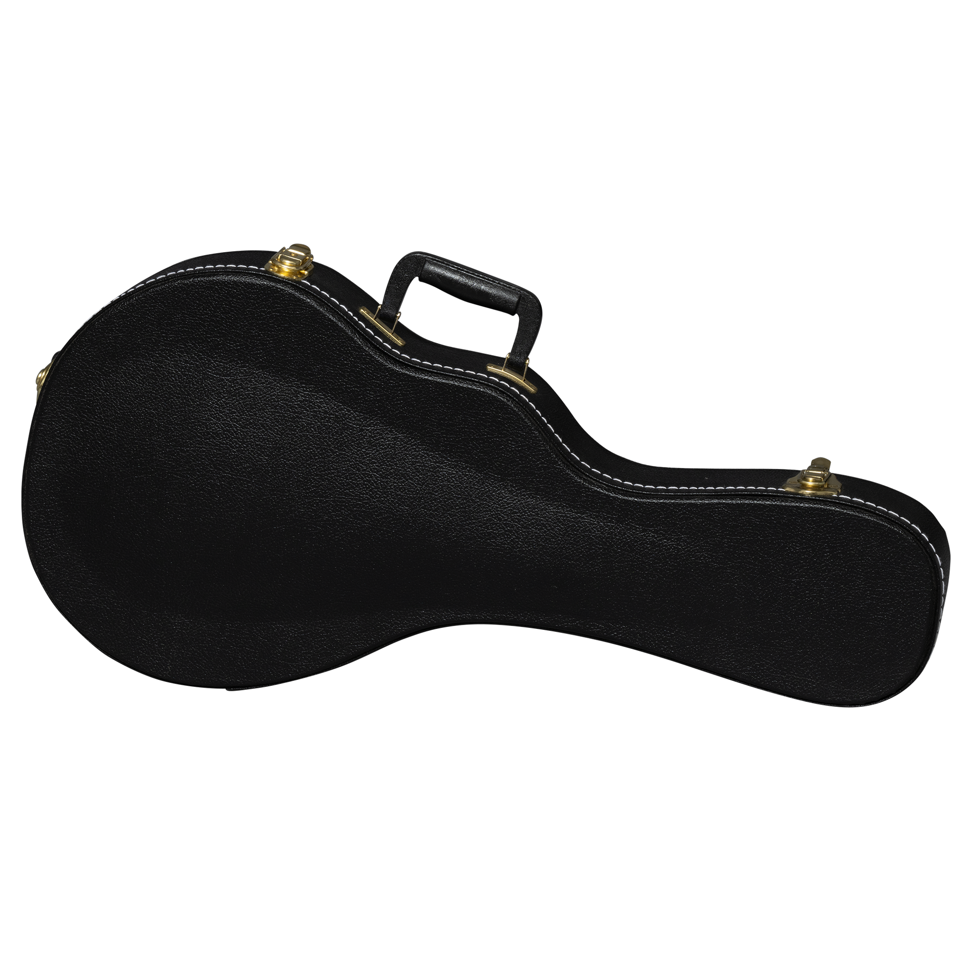 Gibson Custom F-5G, Dark Burst
