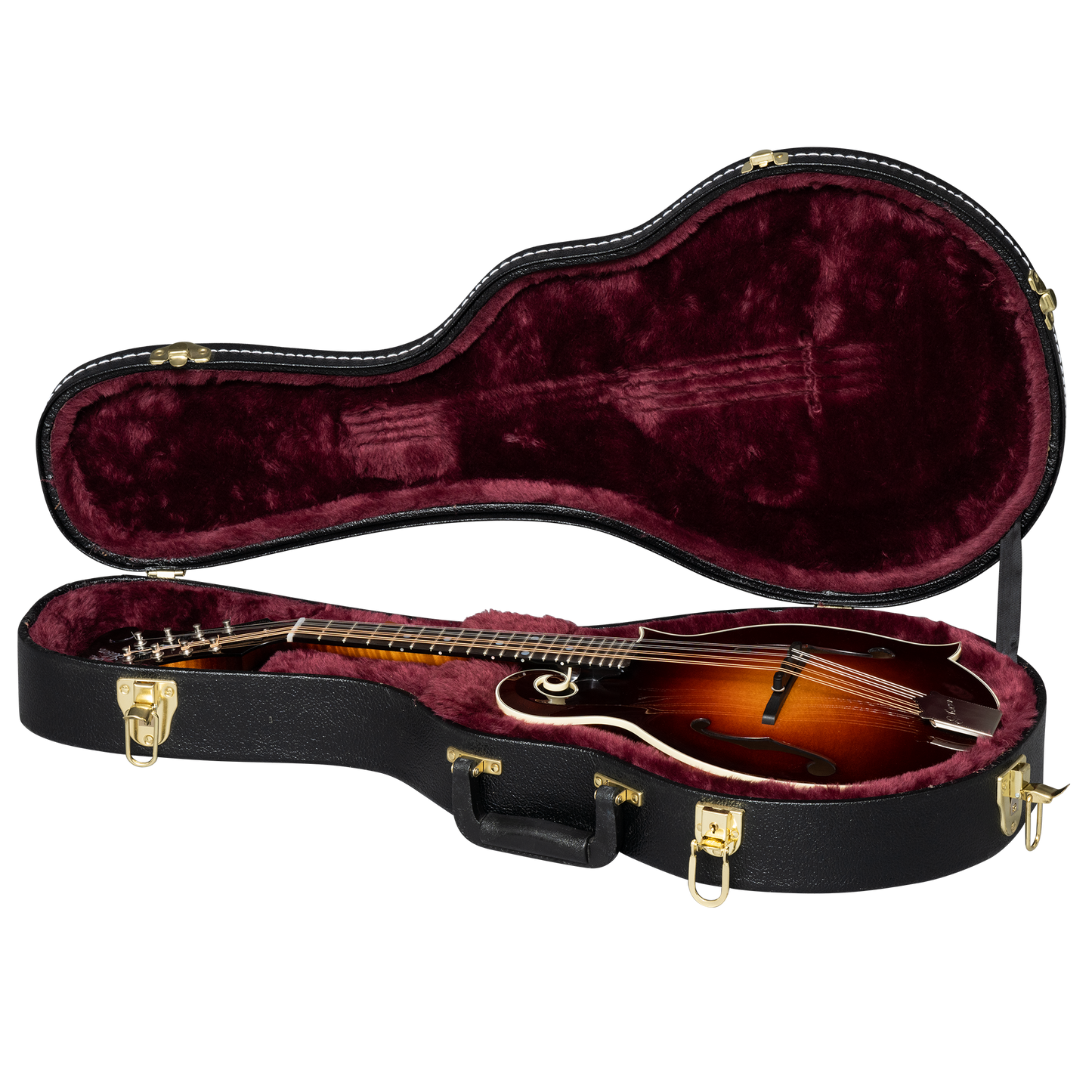Gibson Custom F-5G, Dark Burst
