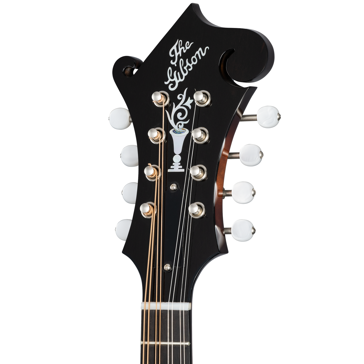 Gibson Custom F-5G, Dark Burst