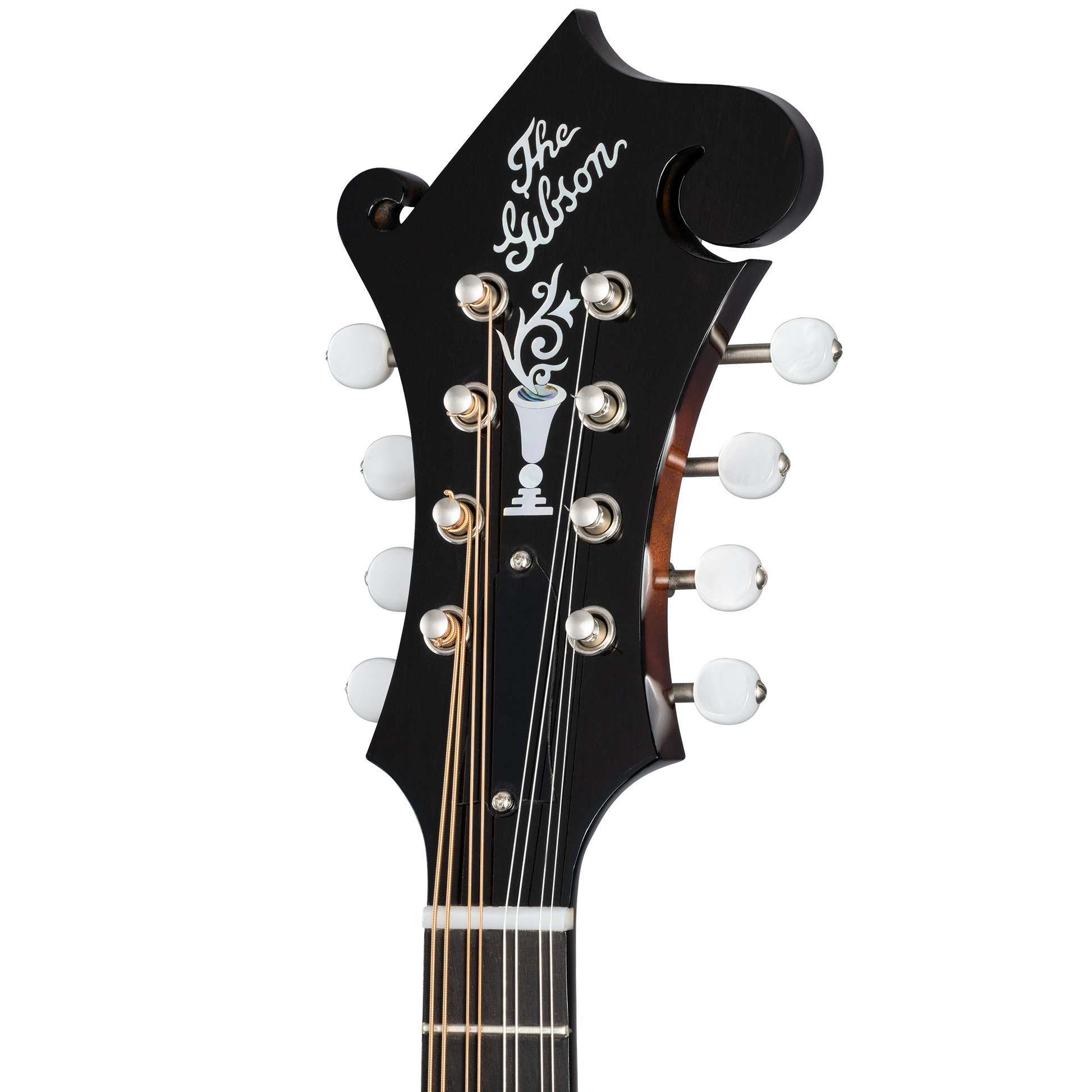 Gibson Custom F-5G, Dark Burst