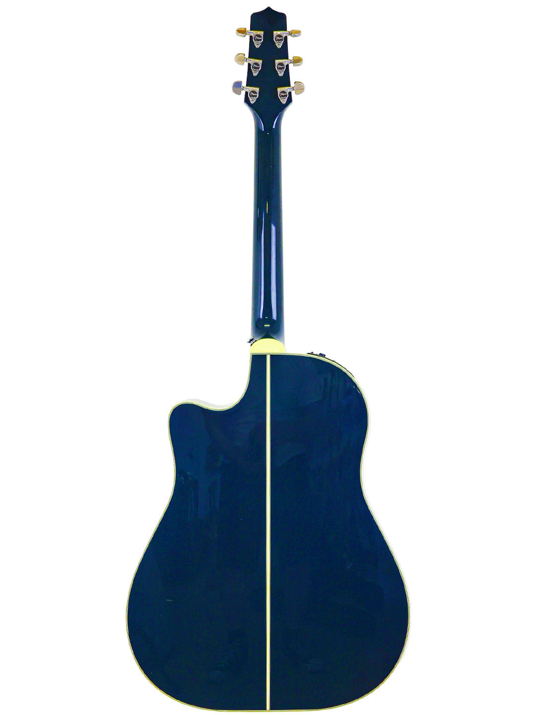 Takamine LTD2021 Limited Edition Series "Blue Rose" - Japan 2021