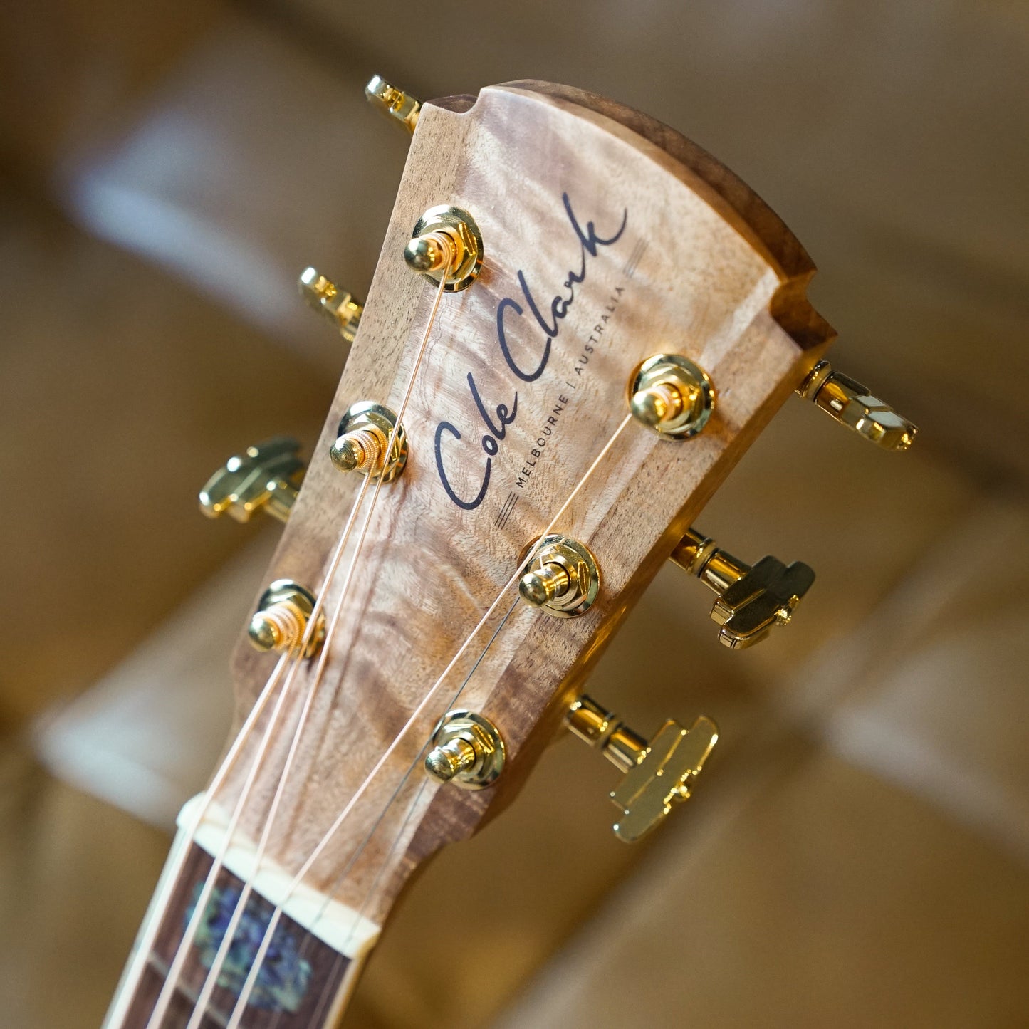 Cole Clark Angel 3 Acoustic Guitar - Camphor Laurel AN3EC-CLCL-AE