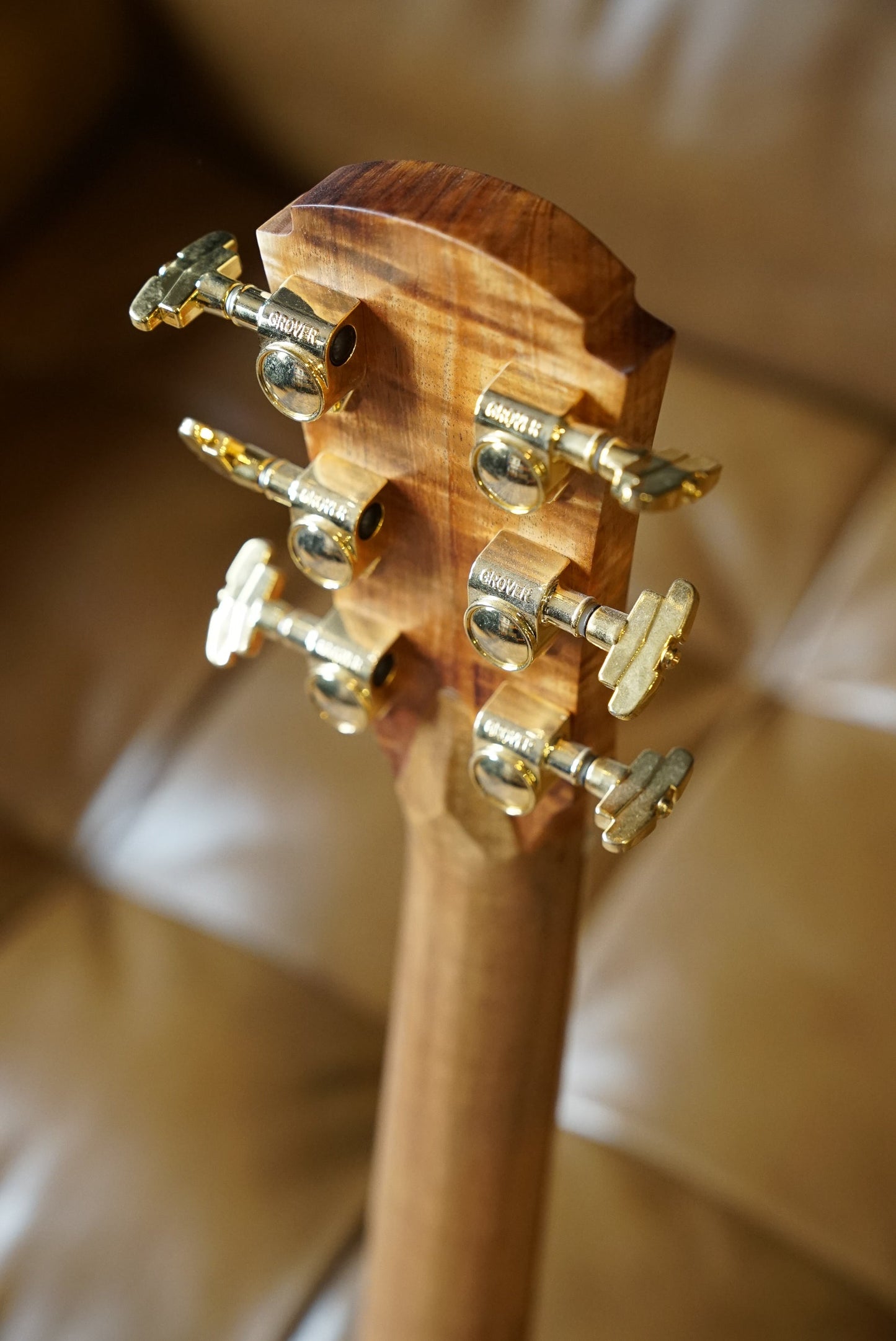 Cole Clark Master Grade ANMGE-KBSF-AE Acoustic Guitar - King Billy / Sassafras