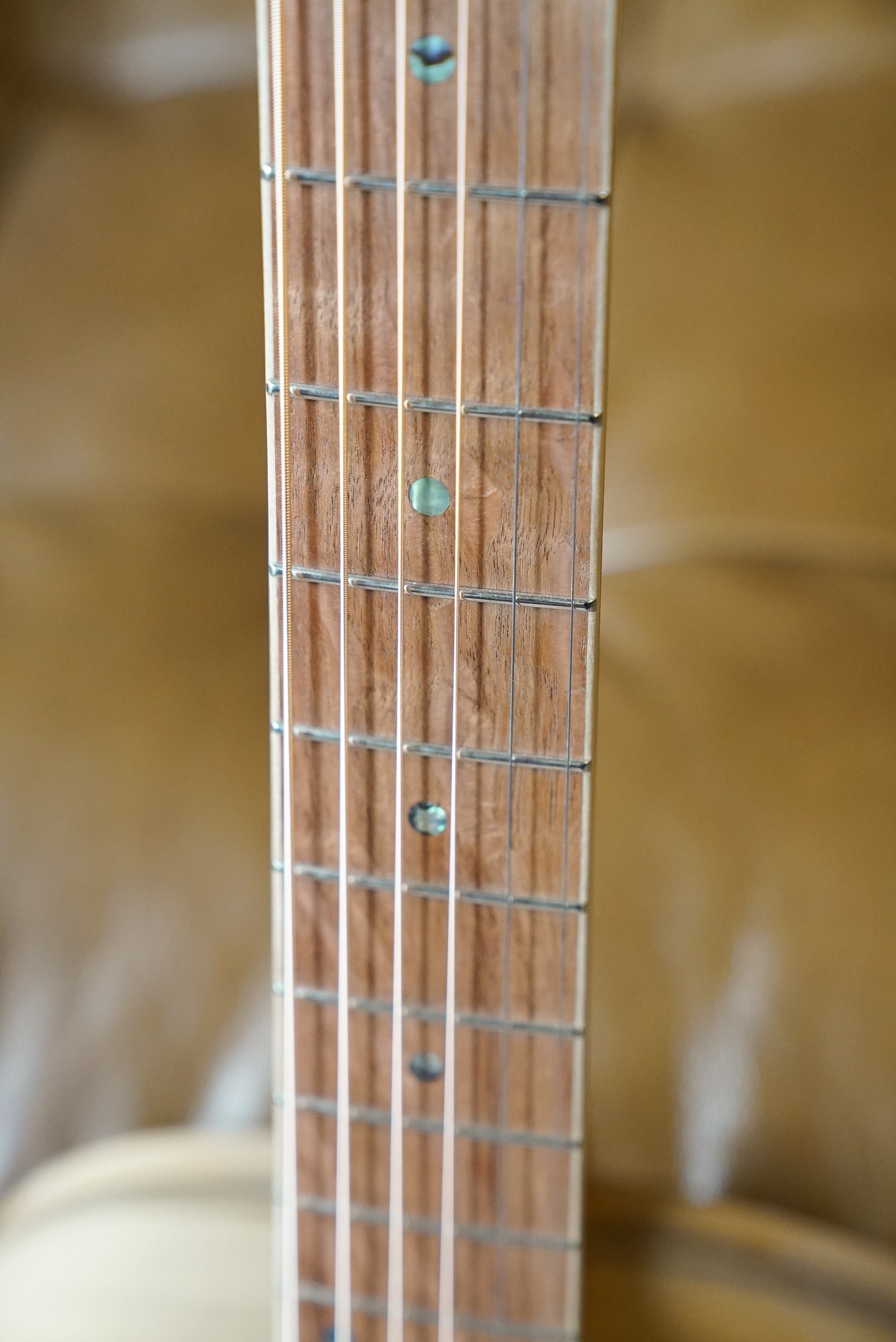 Cole Clark Master Grade ANMGE-KBSF-AE Acoustic Guitar - King Billy / Sassafras