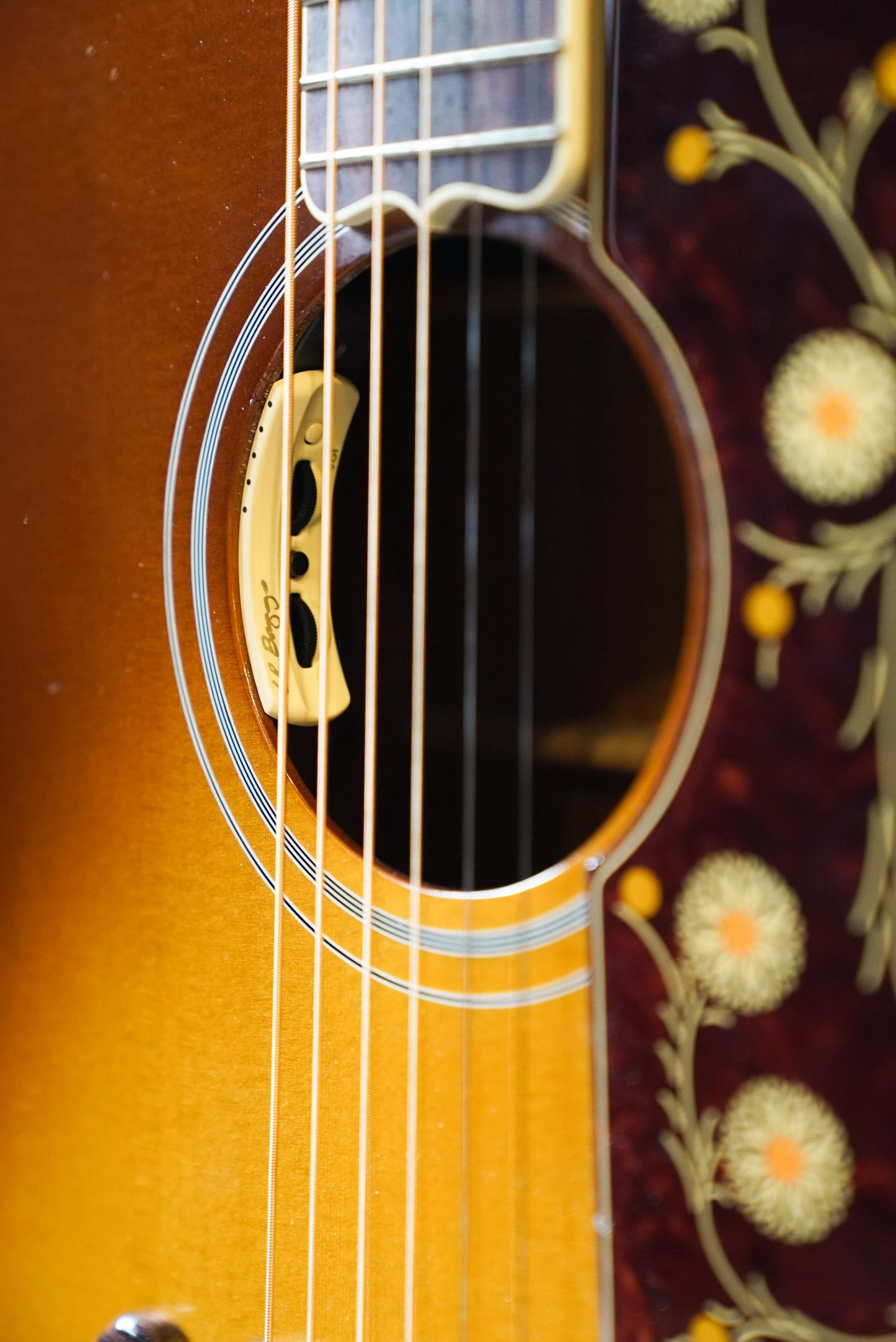 Gibson Custom Shop SJ-200 Australian Blackwood Acoustic Guitar