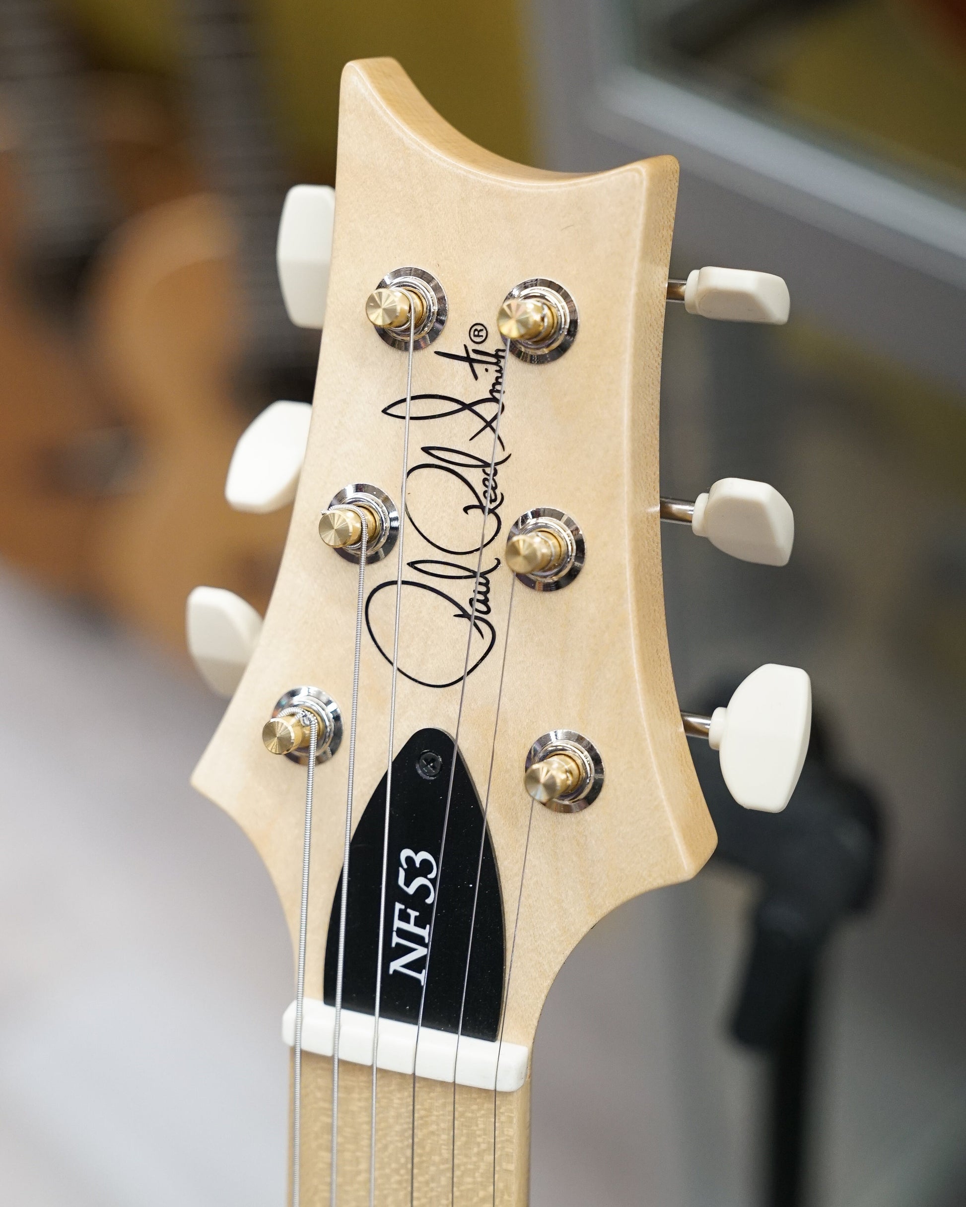 PRS NF 53 Electric Guitar w/ Gig Bag, Dog Hair