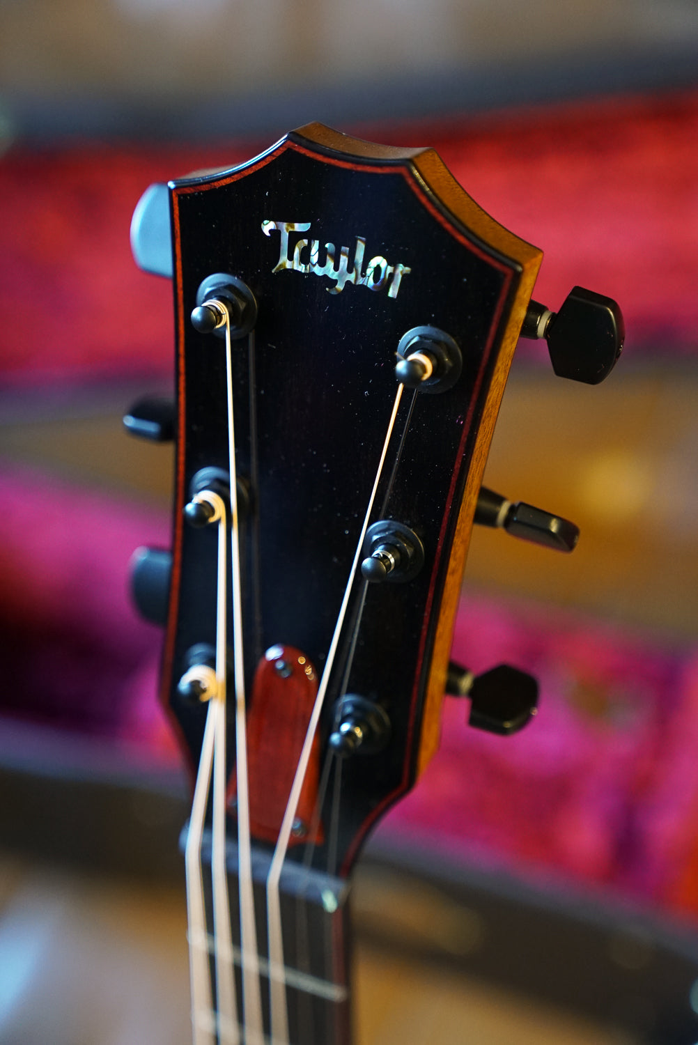 Taylor C14CE B5006, Custom GA, Sassafras/Sitka (Bearclaw), Custom #6, VTC LR Baggs Element VTC