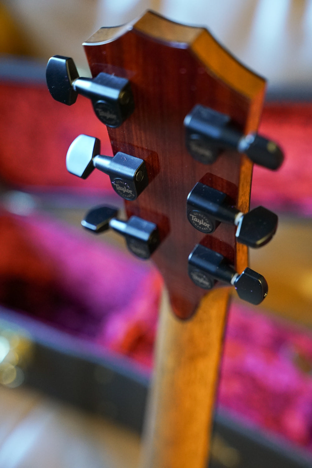 Taylor C14CE B5006, Custom GA, Sassafras/Sitka (Bearclaw), Custom #6, VTC LR Baggs Element VTC