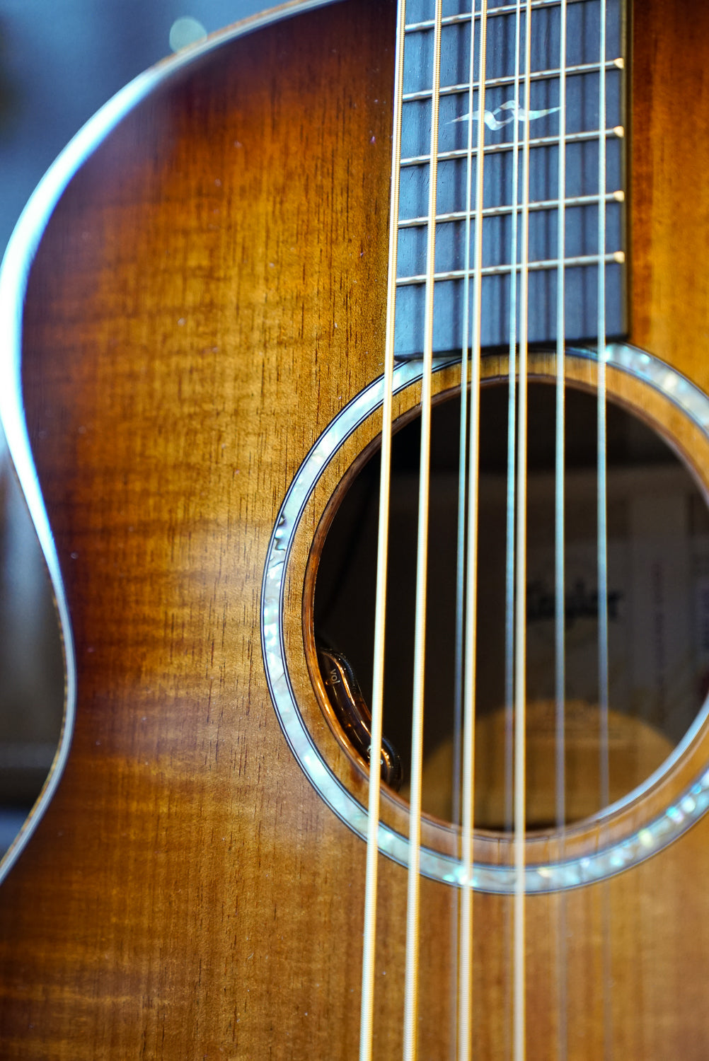 Taylor C24E B5044 Baritone-8, Custom GA, Blkwood T/B/S, Custom, LR Baggs Element VTC