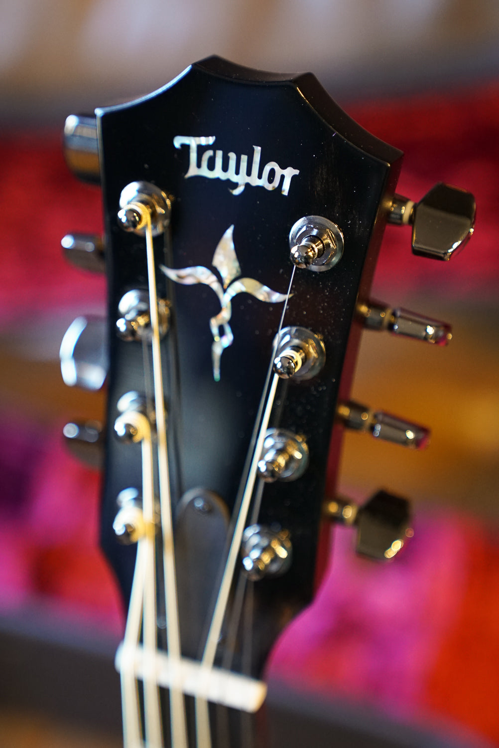 Taylor C24E B5044 Baritone-8, Custom GA, Blkwood T/B/S, Custom, LR Baggs Element VTC