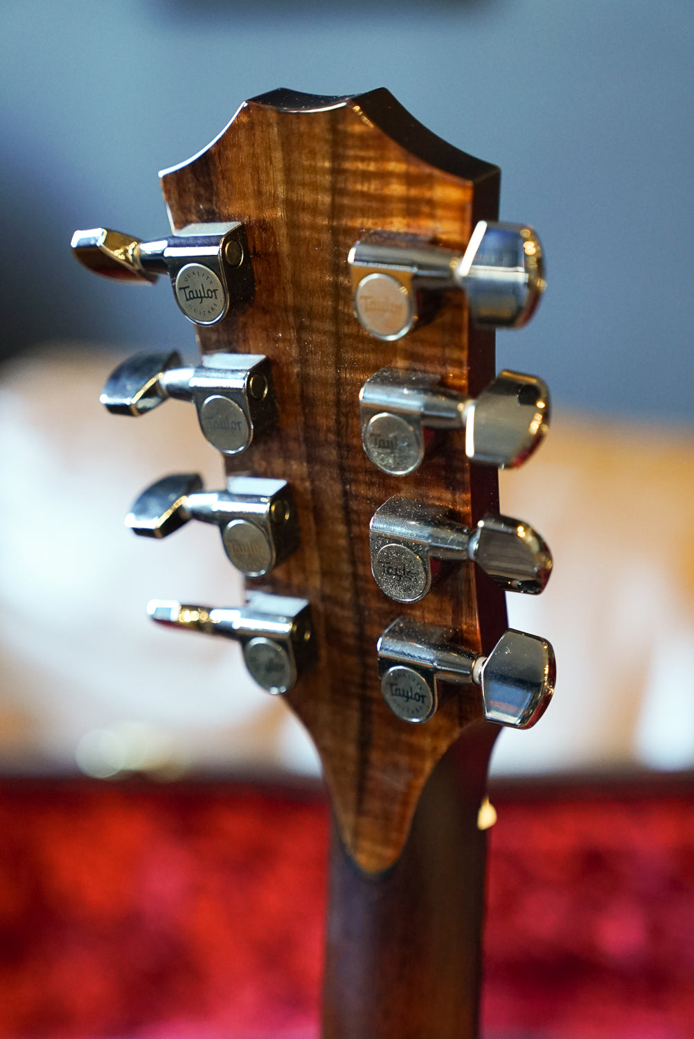 Taylor C24E B5044 Baritone-8, Custom GA, Blkwood T/B/S, Custom, LR Baggs Element VTC