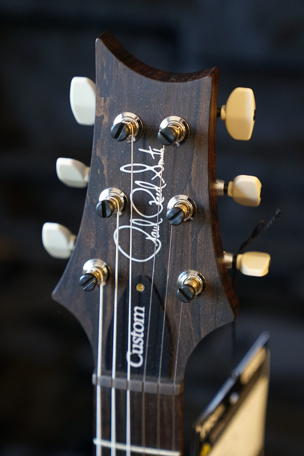 PRS Wood Library Custom 24, Quilt Maple 10 Top / East Indian Rosewood Neck - Whale Blue