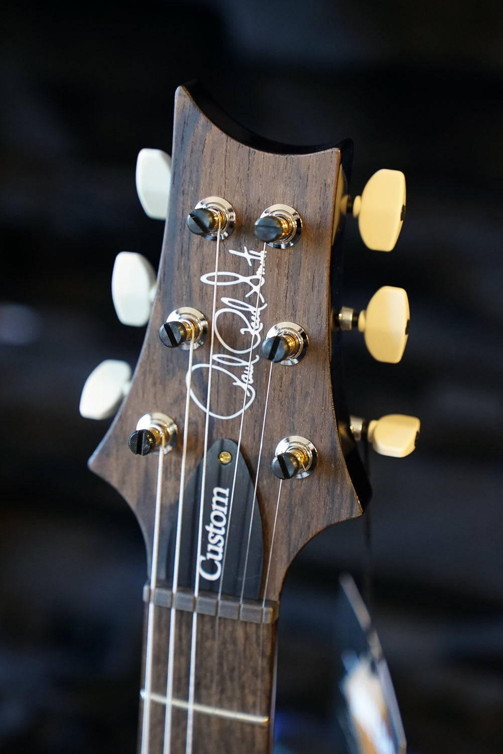 PRS Wood Library Custom 24, Quilt Maple 10 Top / Flame Maple Neck - Whale Blue