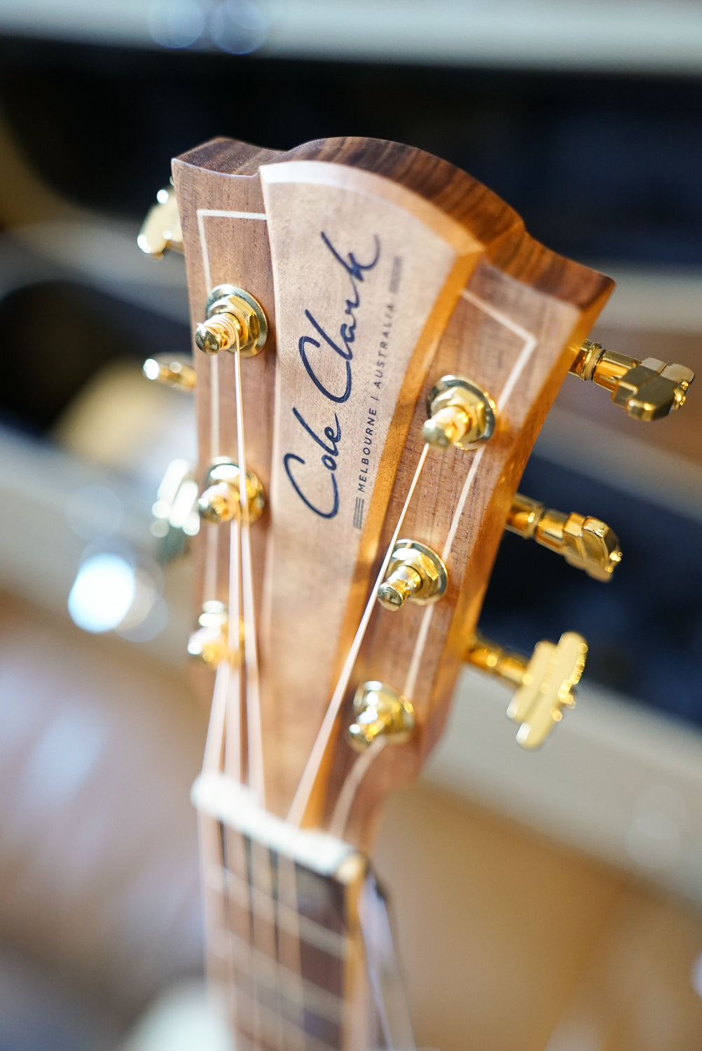Cole Clare Fat Lady 3 EC, Camphor Laurel - FL3EC-CLCL-AE