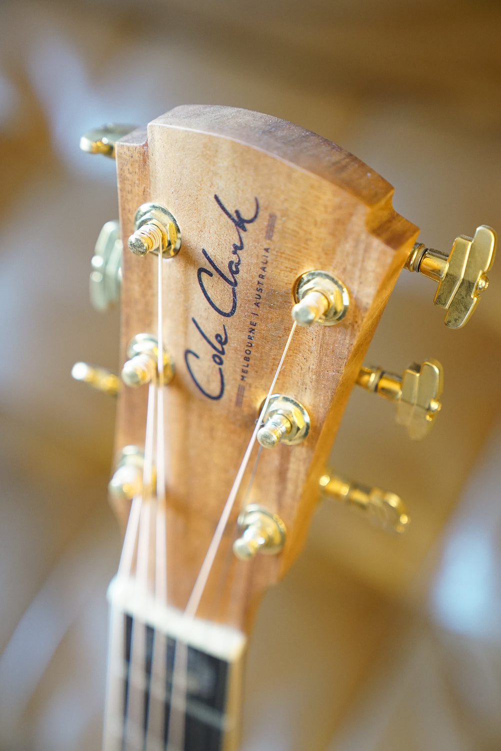 Cole Clark CCAN3EC-BLBL Acoustic Electric Guitar w/Case - Blackwood