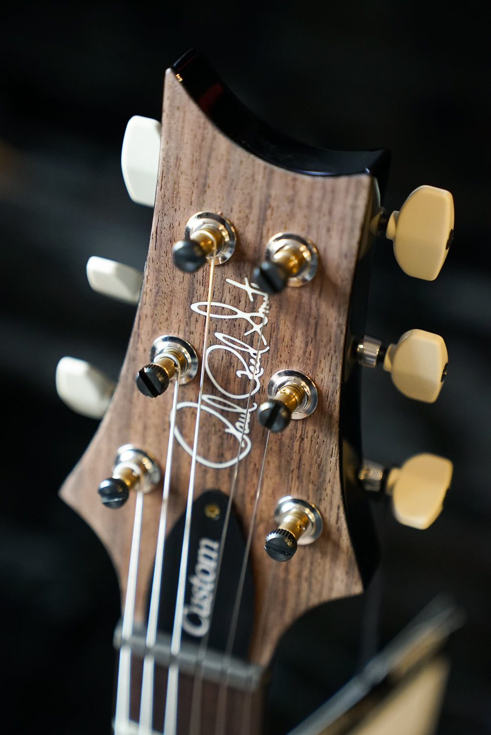 PRS Custom 24, 10 Top, Pattern Thin - Faded Whale Blue