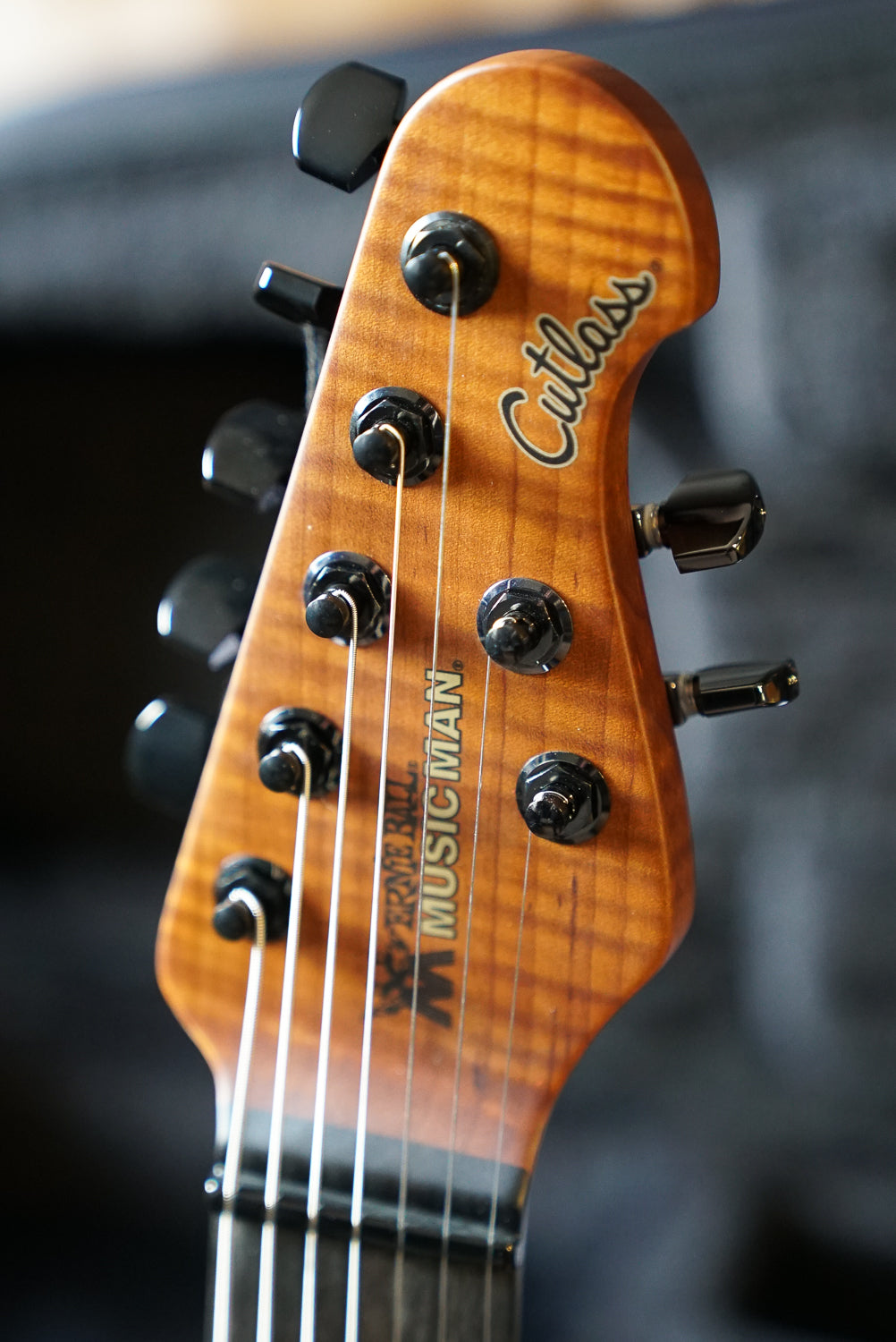 Music Man Jason Richardson Cutlass HT 7 String - Death Mountain
